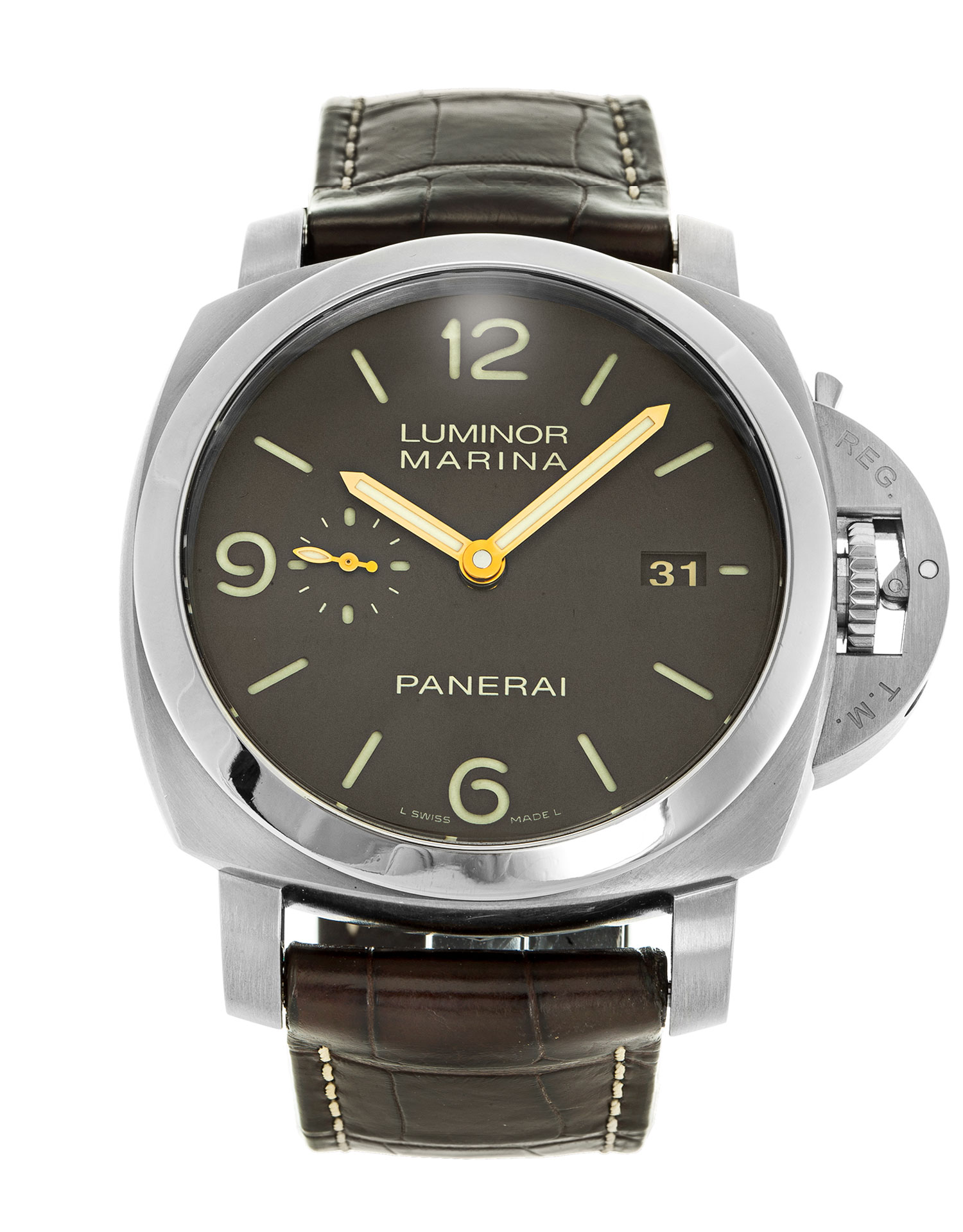 pam00351