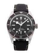 Tudor Black Bay 58 M79010SG-0001