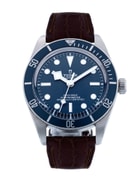 Tudor Black Bay 58 M79030B