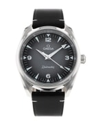 Pre-Owned Omega Seamaster Railmaster 235.12.38.20.06.001 Watch