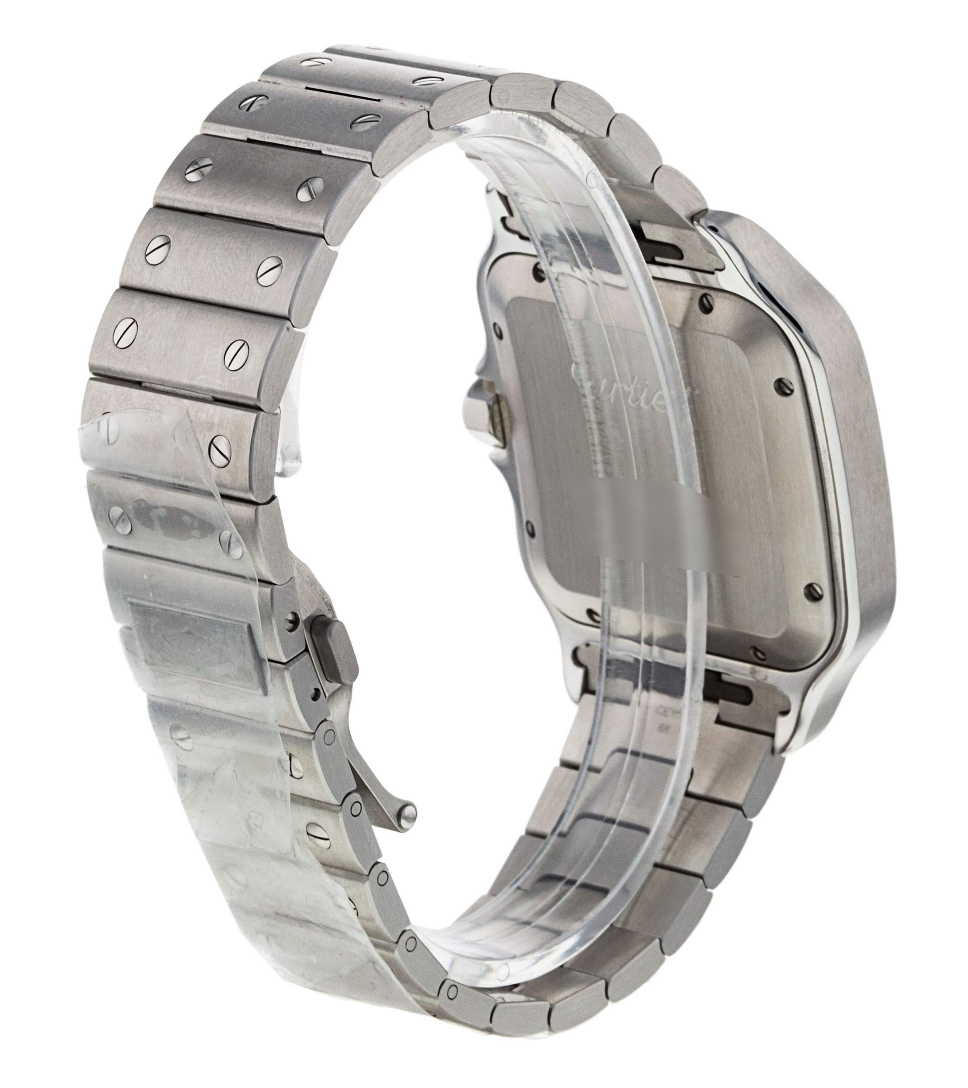 Cartier Santos WSSA0009 Thumbnail 3