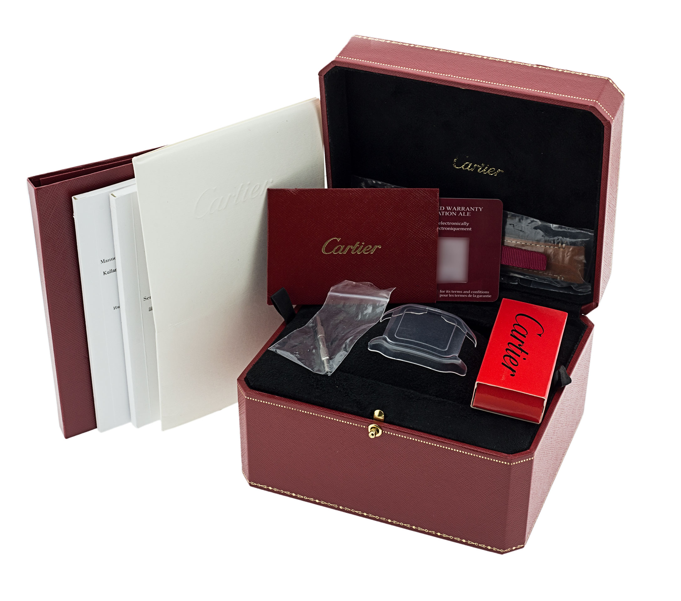 Cartier Santos WSSA0009 Thumbnail 4