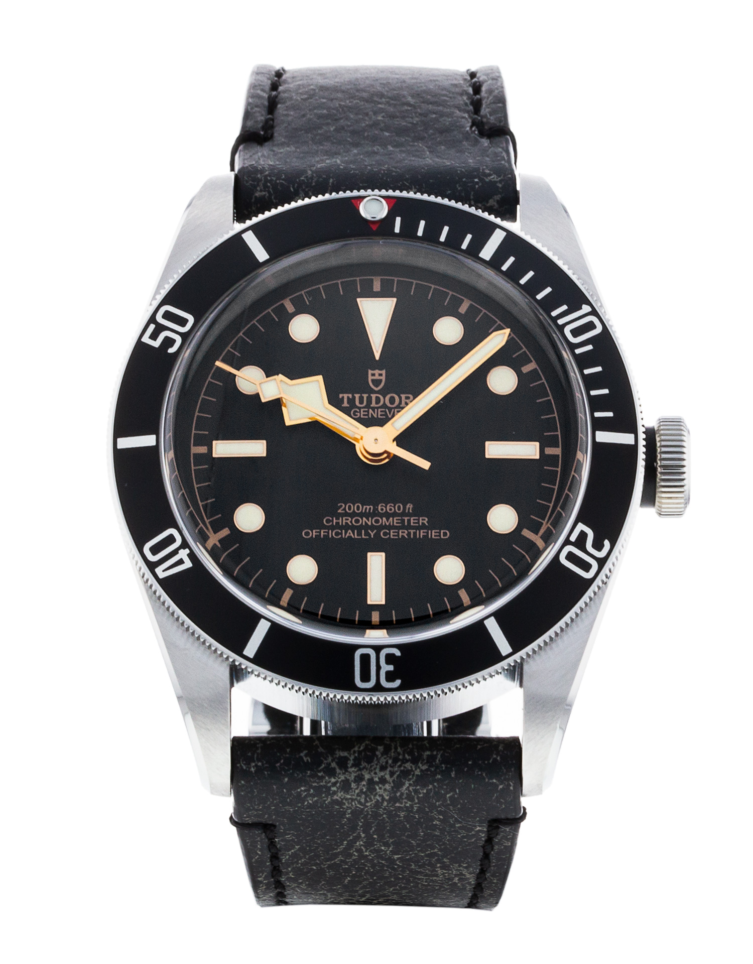Tudor Black Bay M79230N-0008