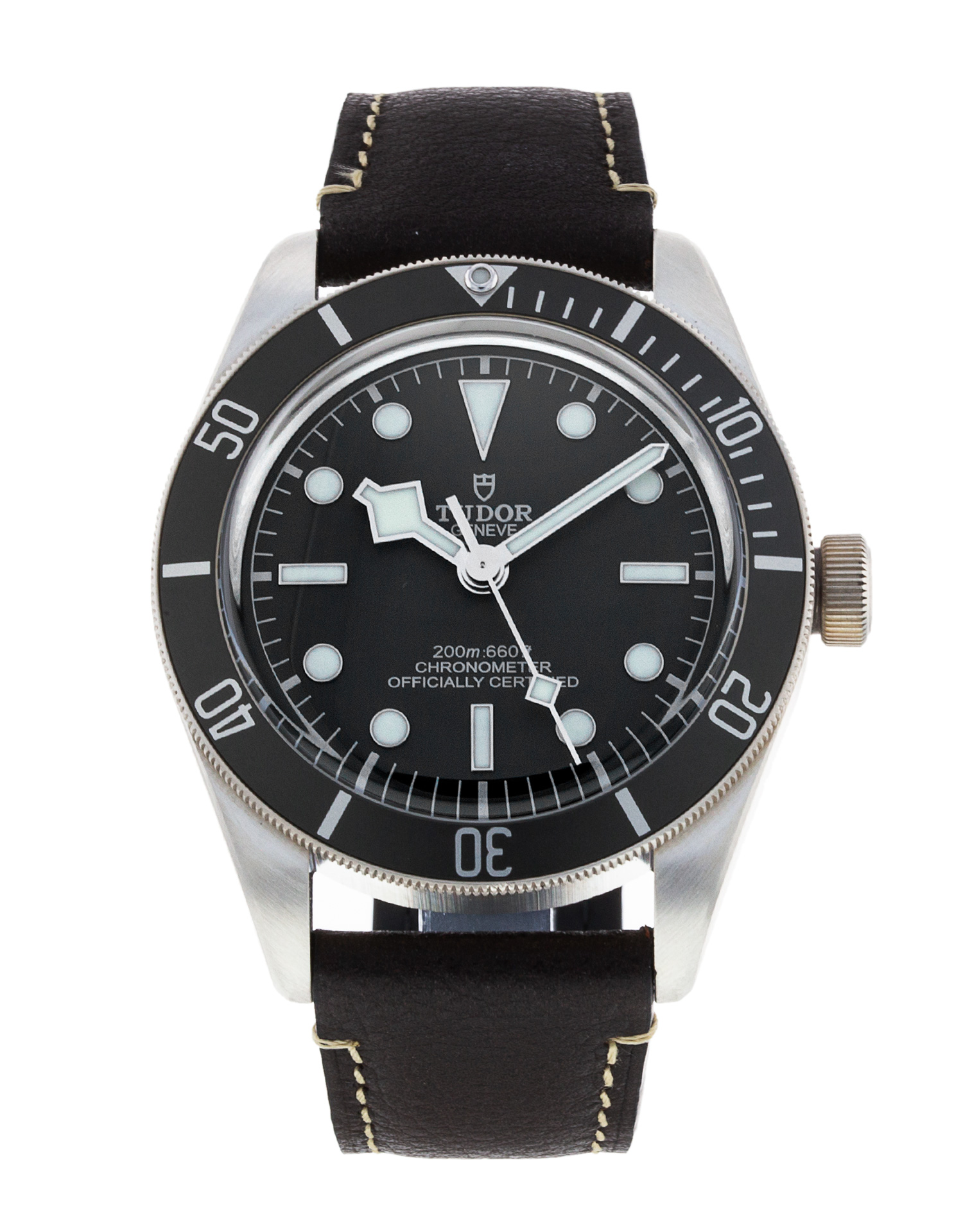 Tudor Black Bay 58 M79010SG-0001