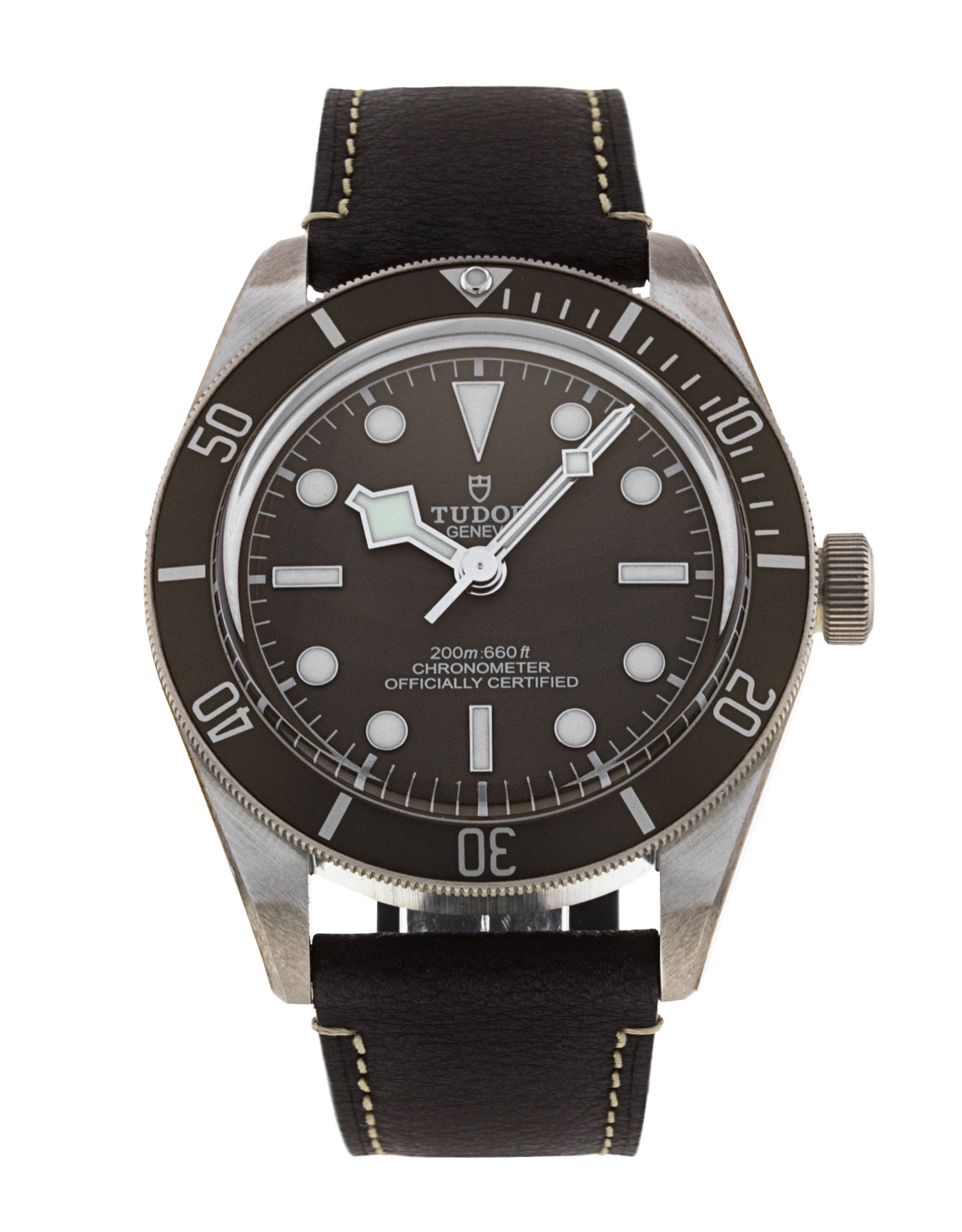 Tudor Black Bay 58 M79010SG-0001