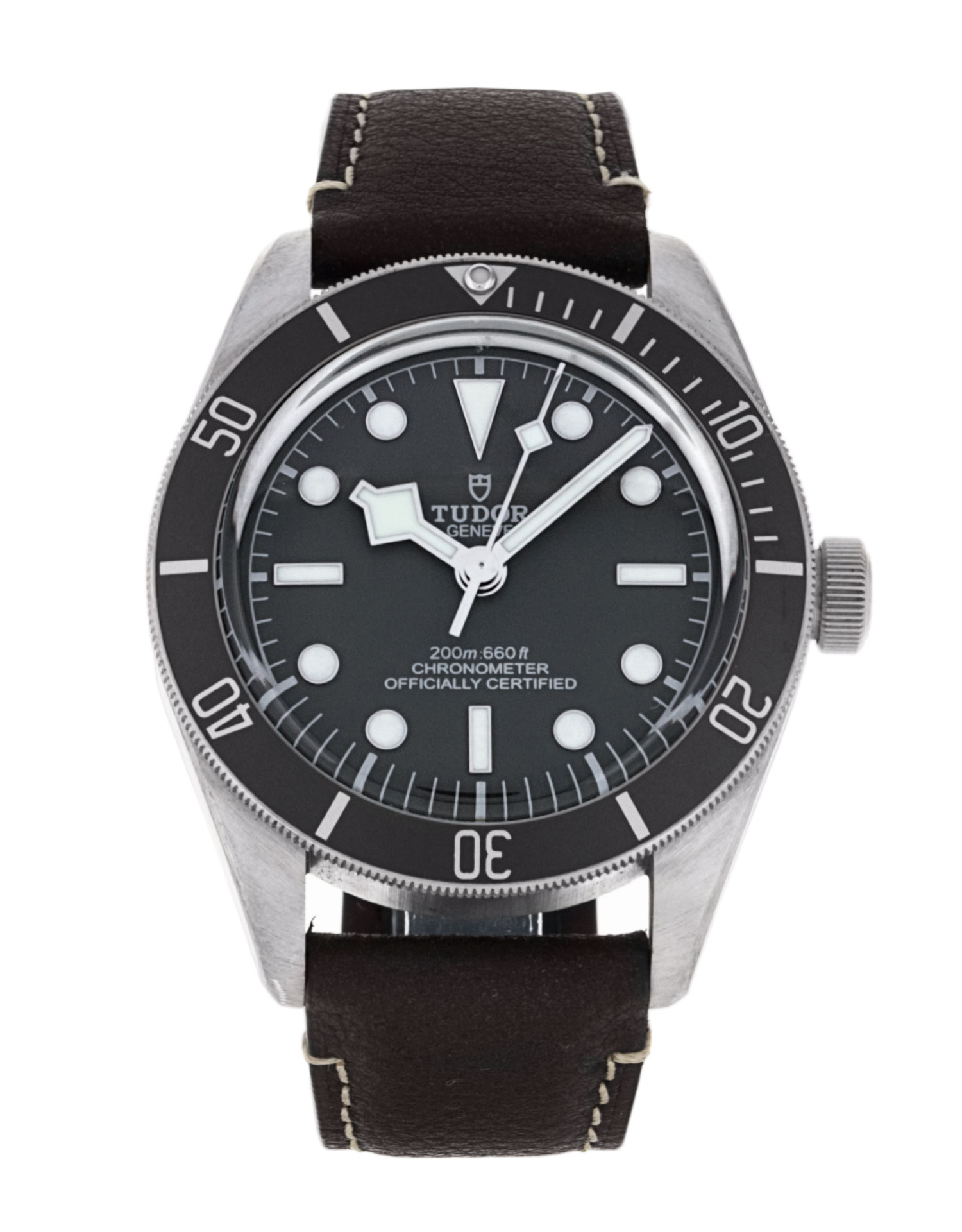 Tudor Black Bay 58 M79010SG-0001