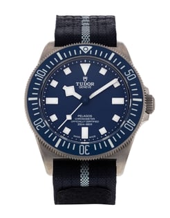 Tudor pelagos 2024 clone