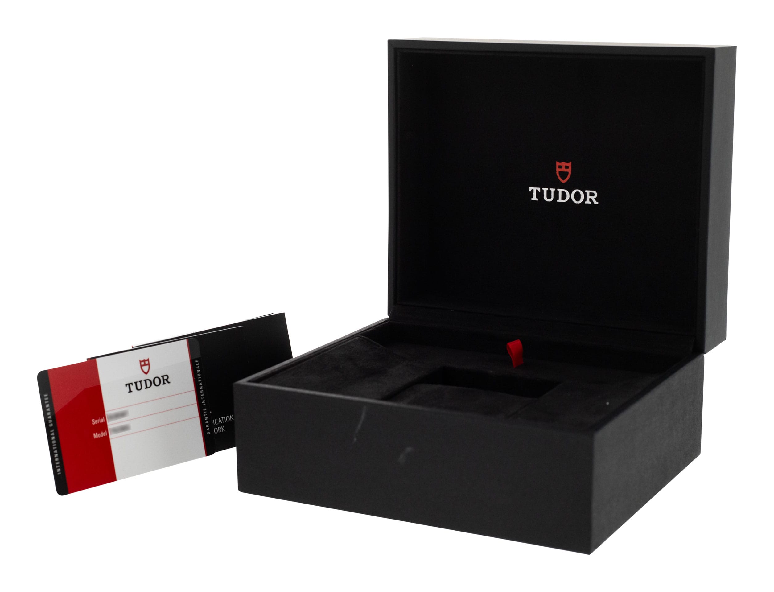 Tudor Heritage Black Bay 79230G Thumbnail 4