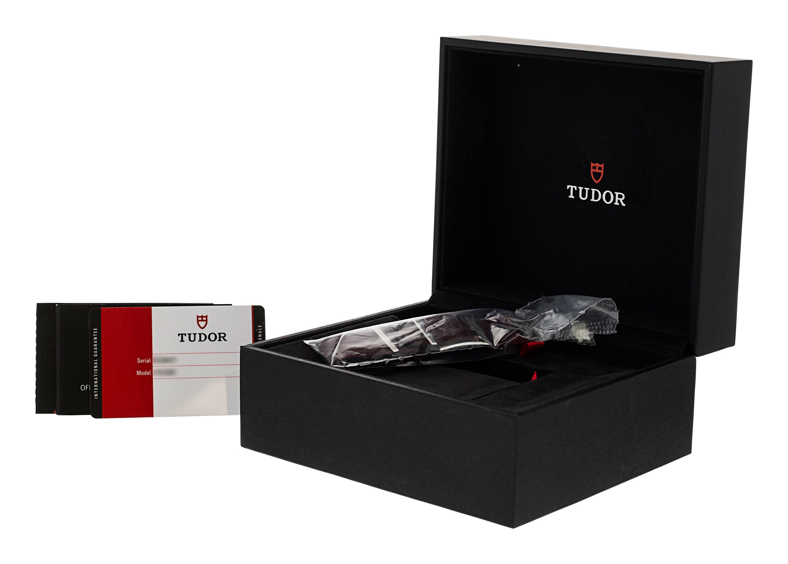 Tudor Black Bay M79230R-0011 Thumbnail 5
