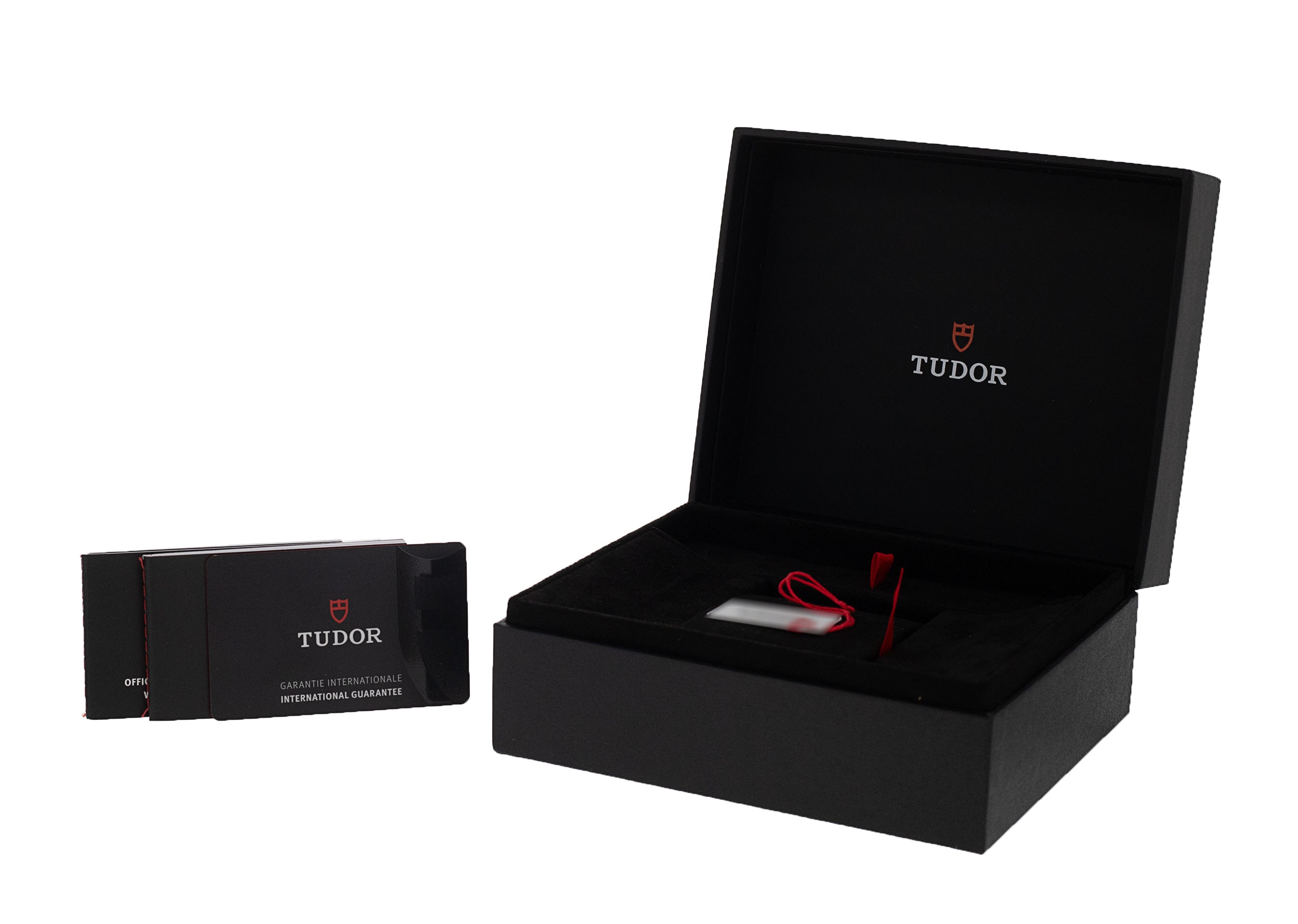 Tudor Pelagos M25600TN-0001 Thumbnail 4