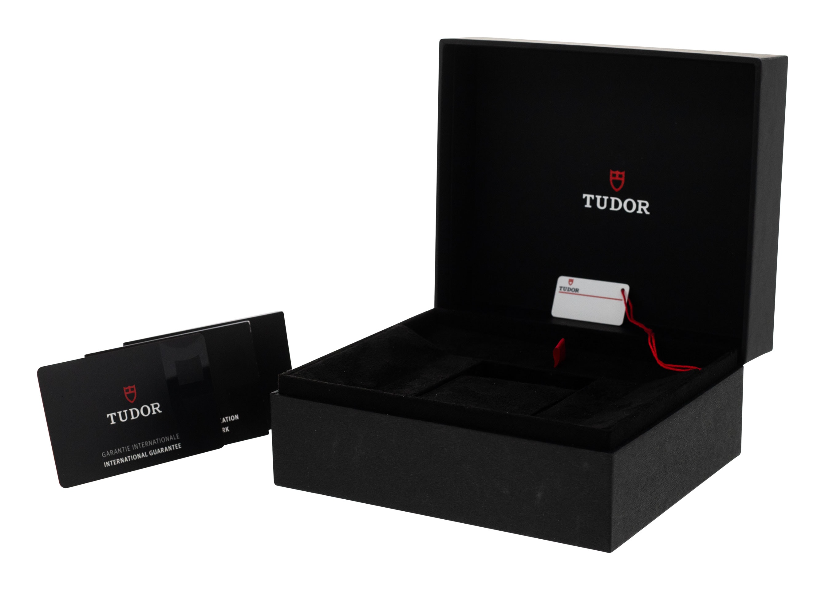 Tudor Pelagos M25610TNL-0001 Thumbnail 4