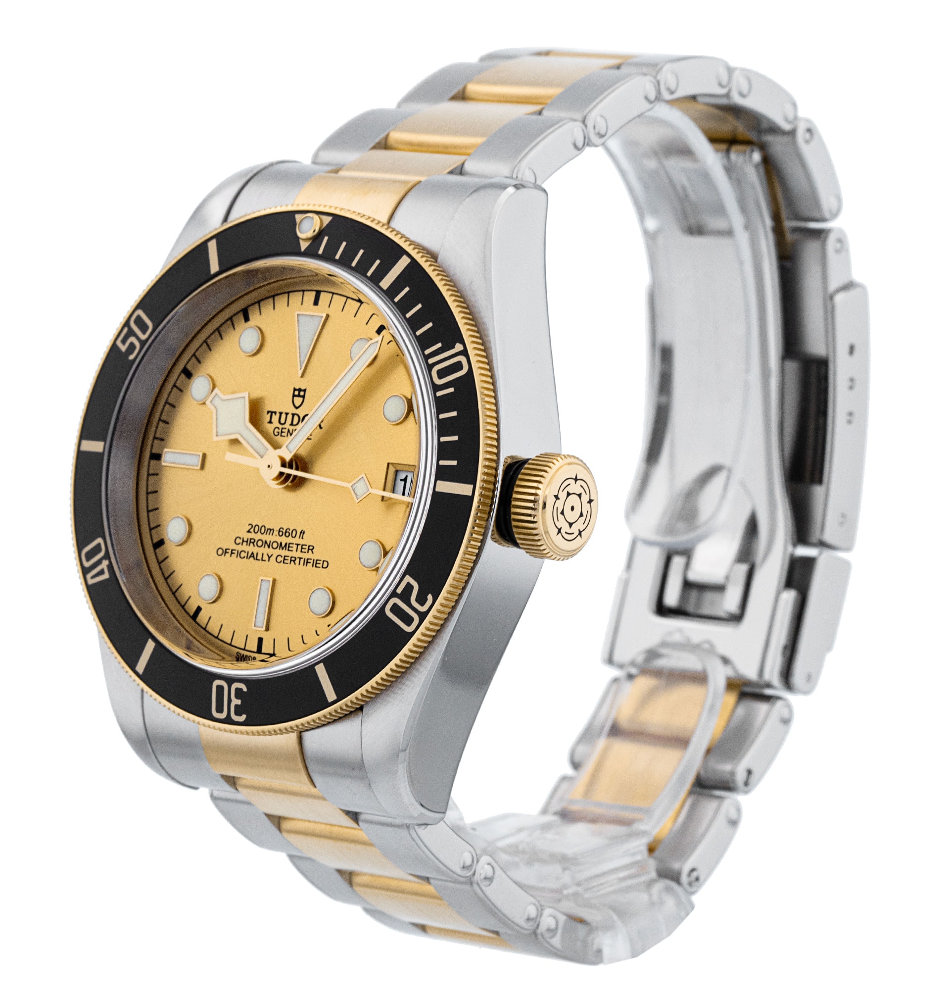 Tudor Black Bay M79733N-0004 Thumbnail 2