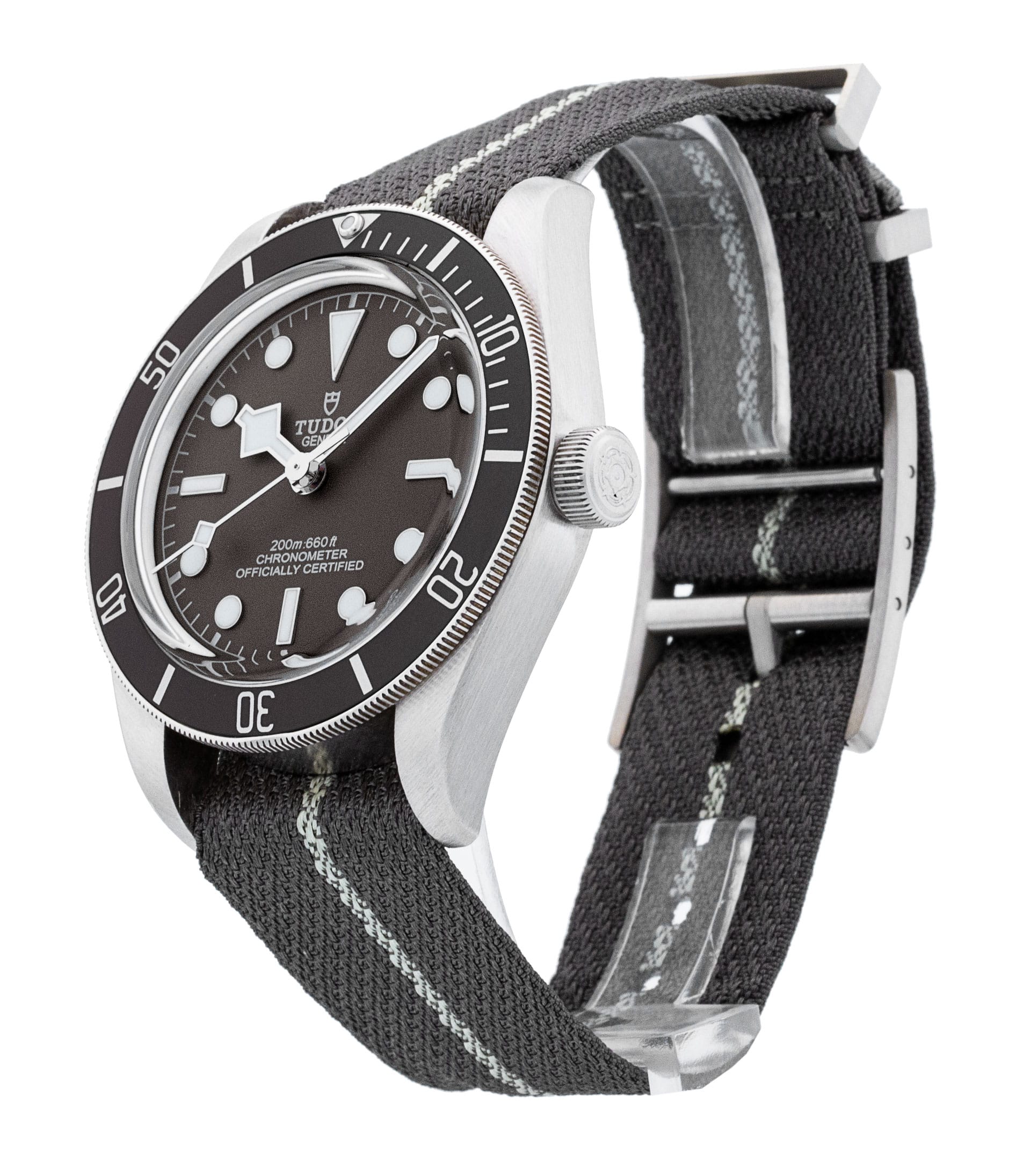 Tudor Black Bay 58 M79010SG-0002 Thumbnail 2