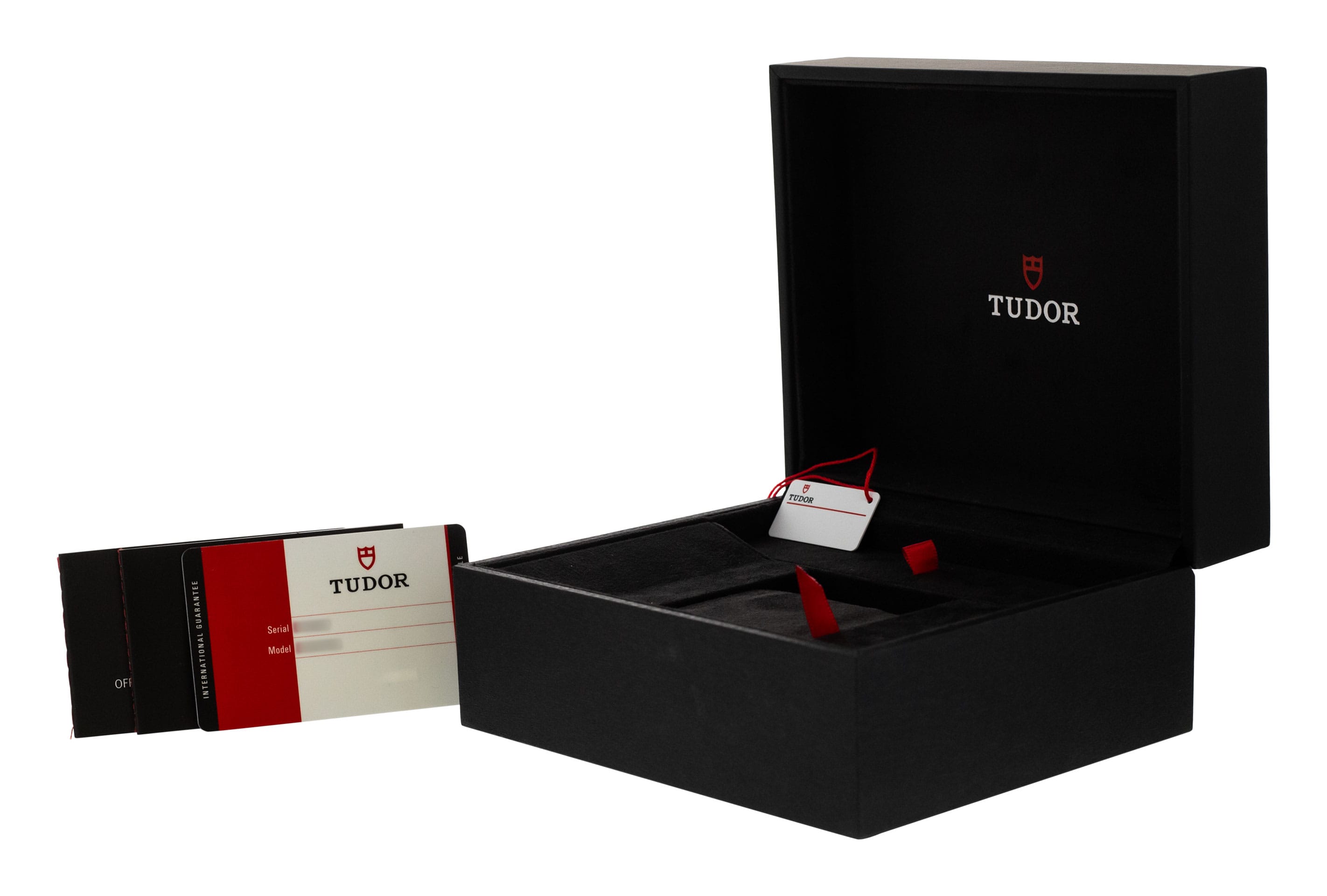 Tudor Pelagos M25610TNL-0001 Thumbnail 4