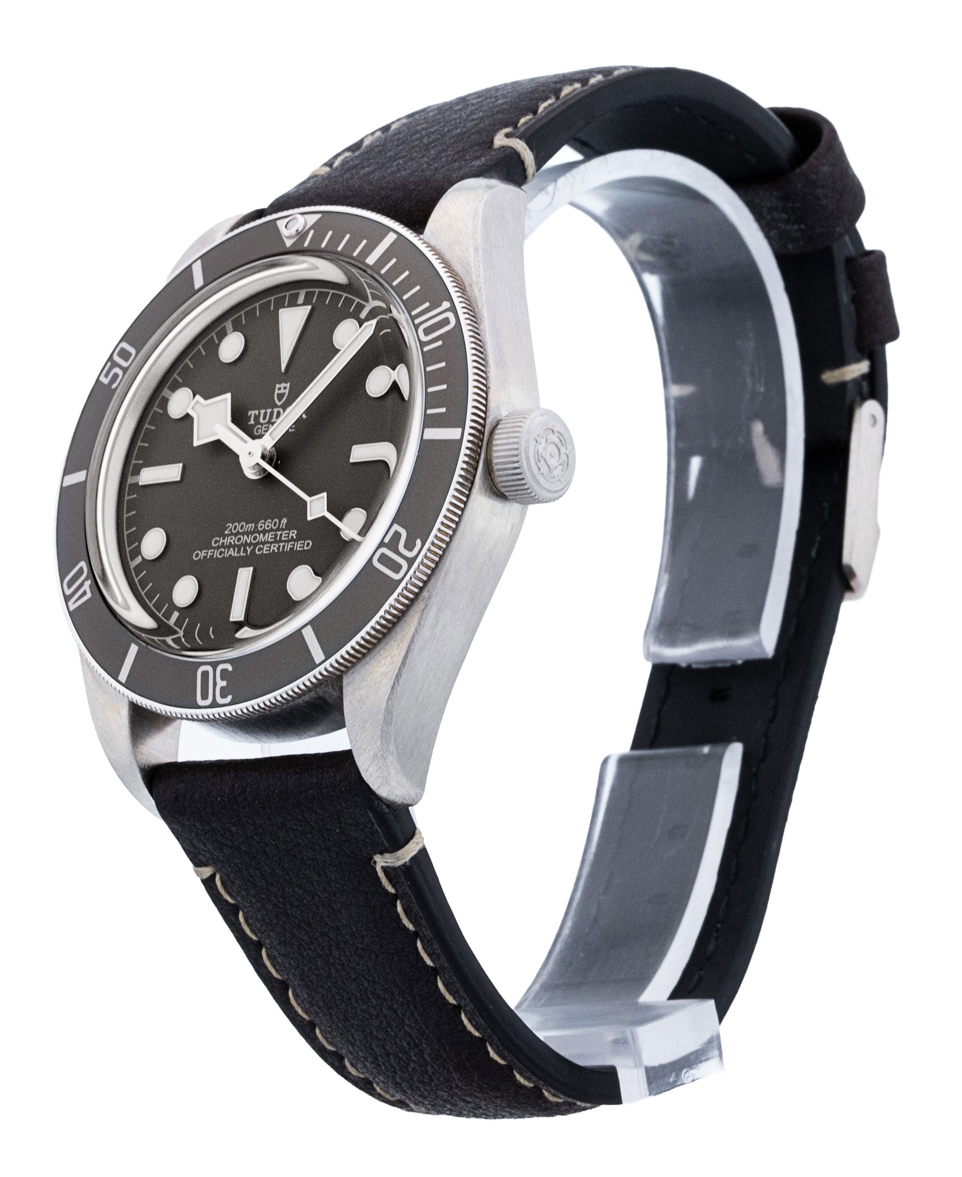 Tudor Black Bay 58 M79010SG-0001 Thumbnail 2