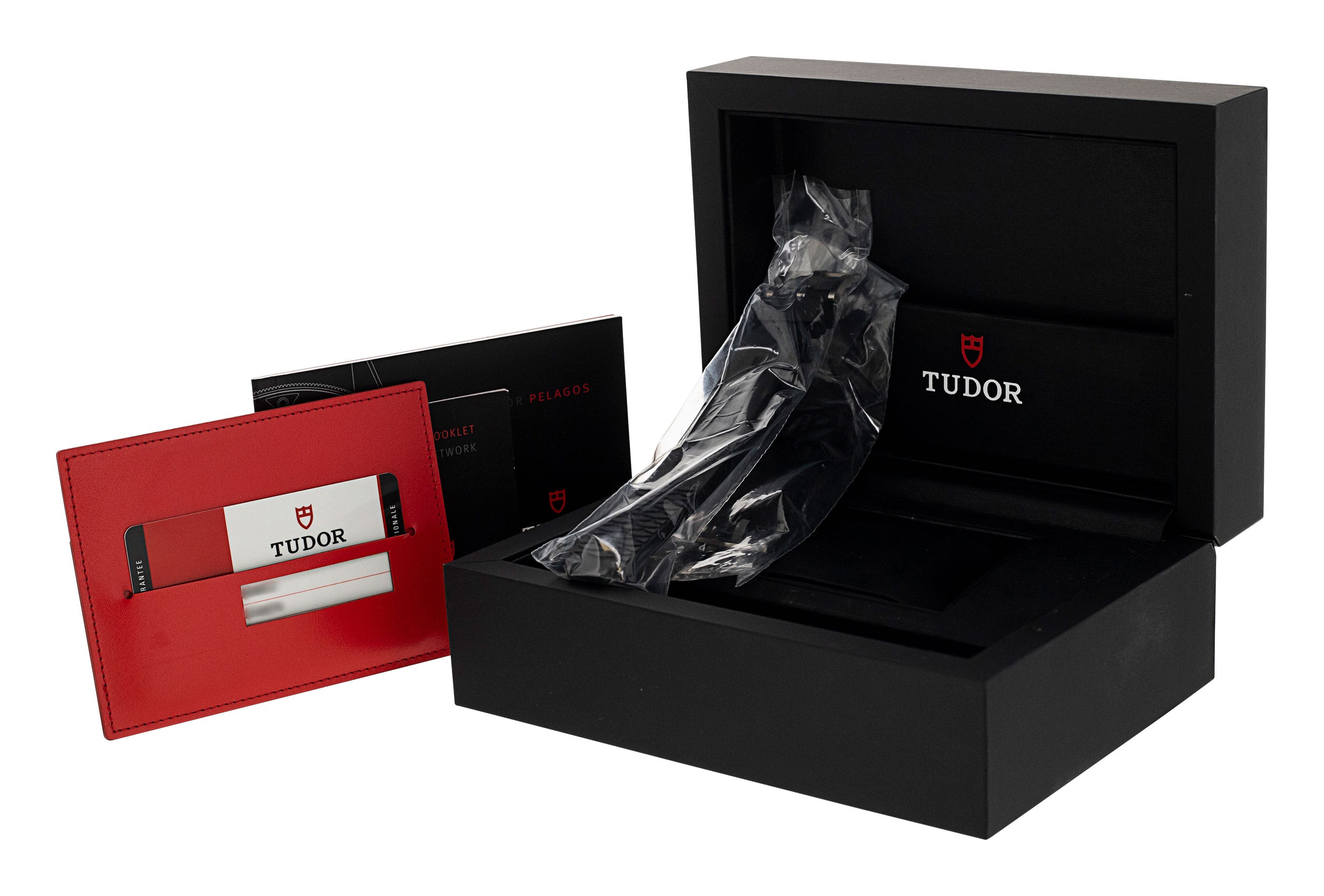 Tudor Pelagos 25500TN Thumbnail 2