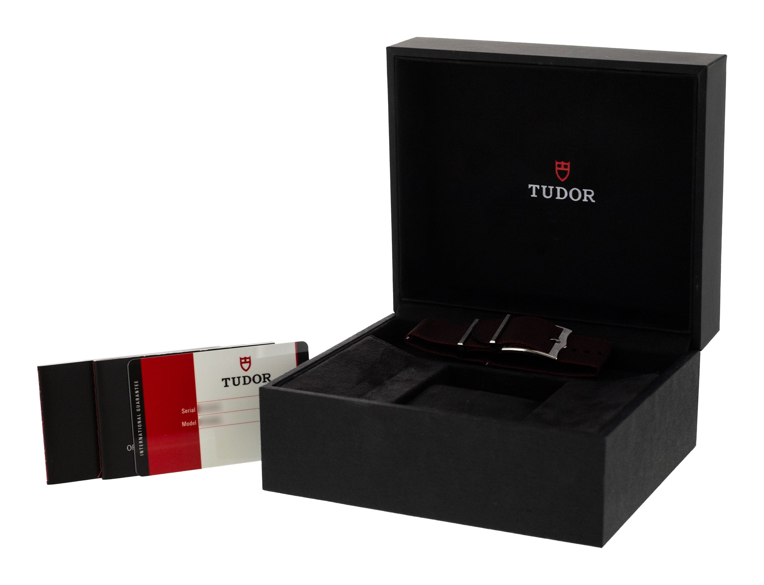 Tudor Heritage Black Bay 79230R-0003 Thumbnail 4