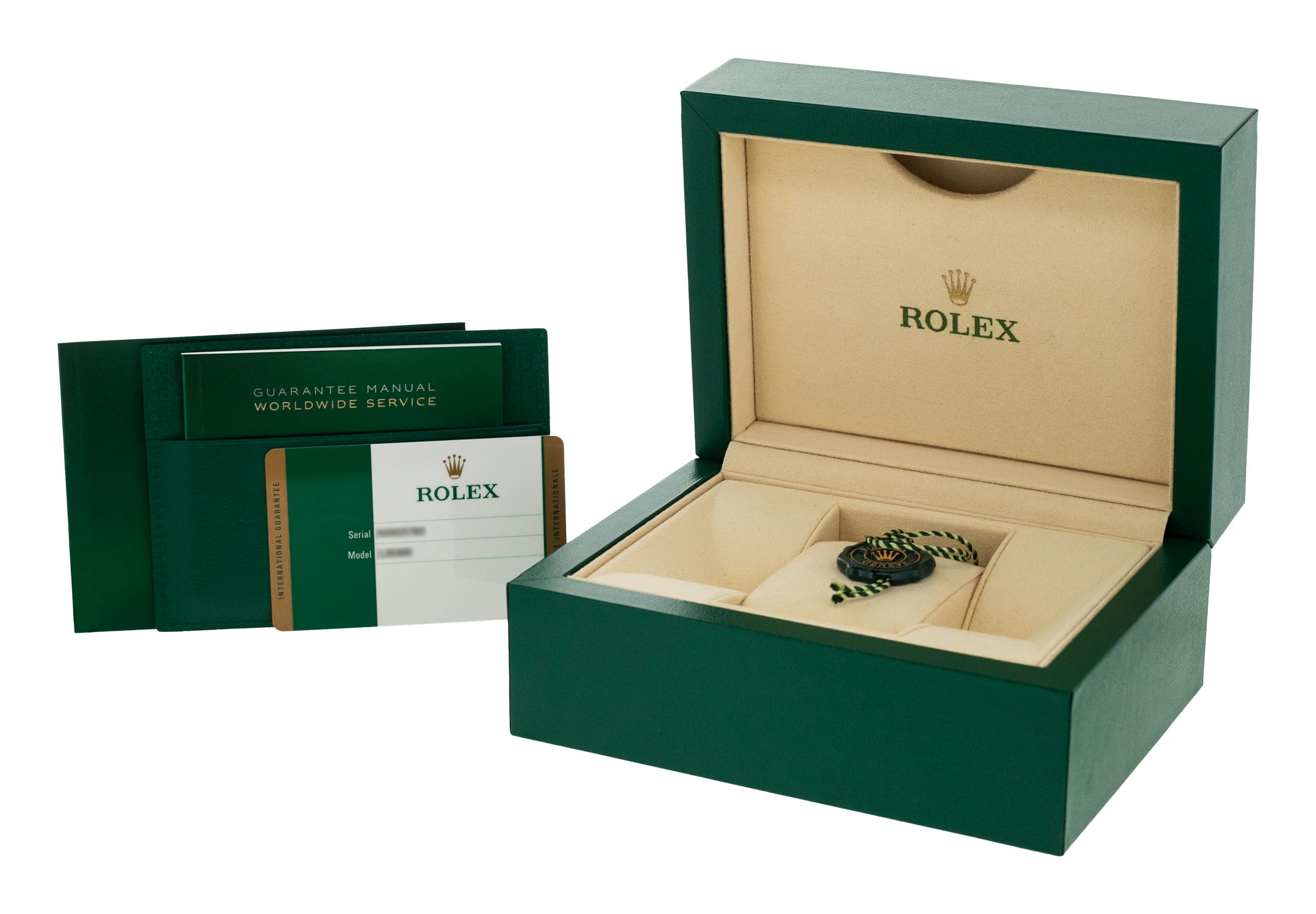 Rolex Datejust 41 126300 Thumbnail 4