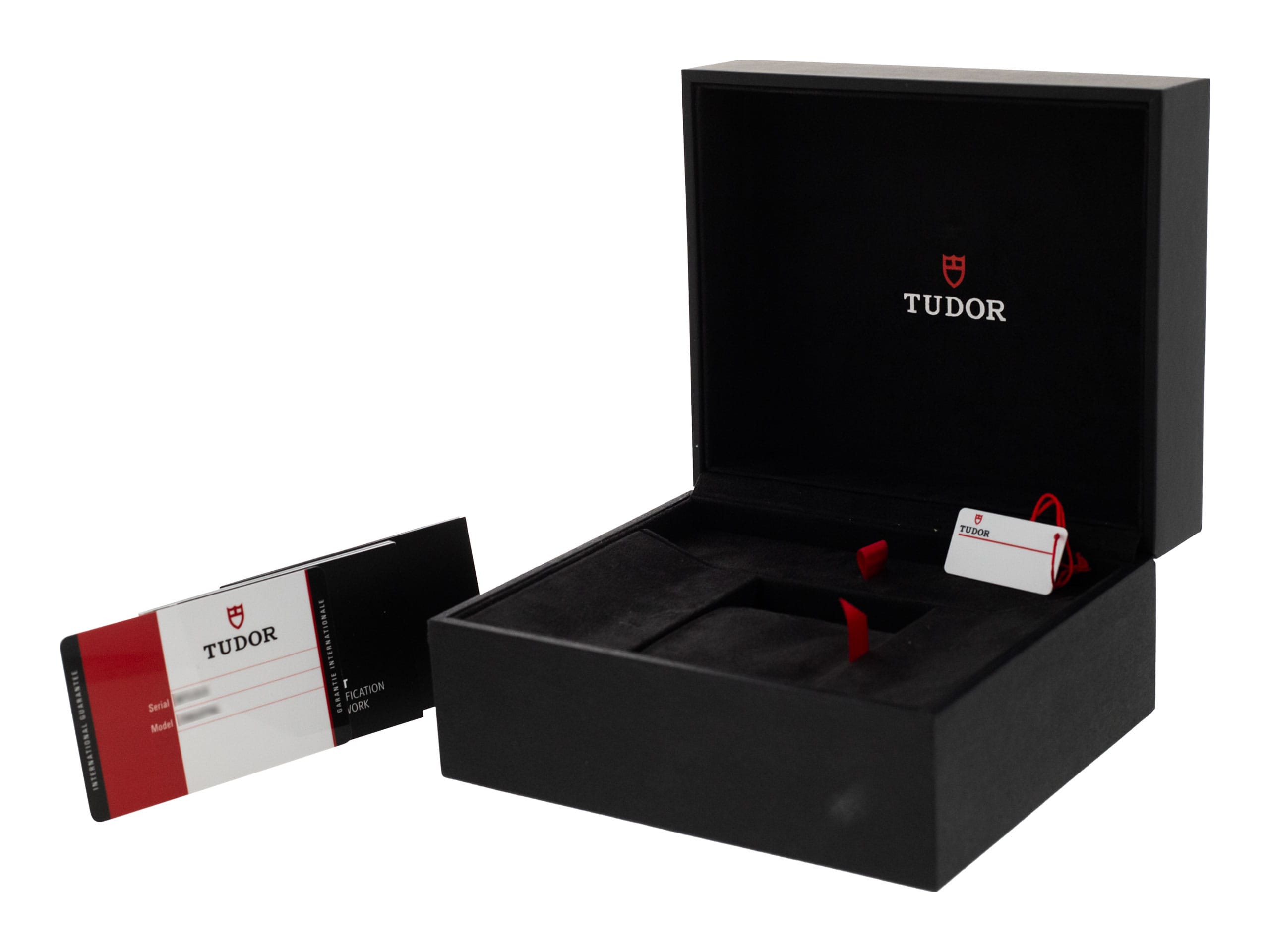 Tudor Pelagos M25610TNL-0001 Thumbnail 4