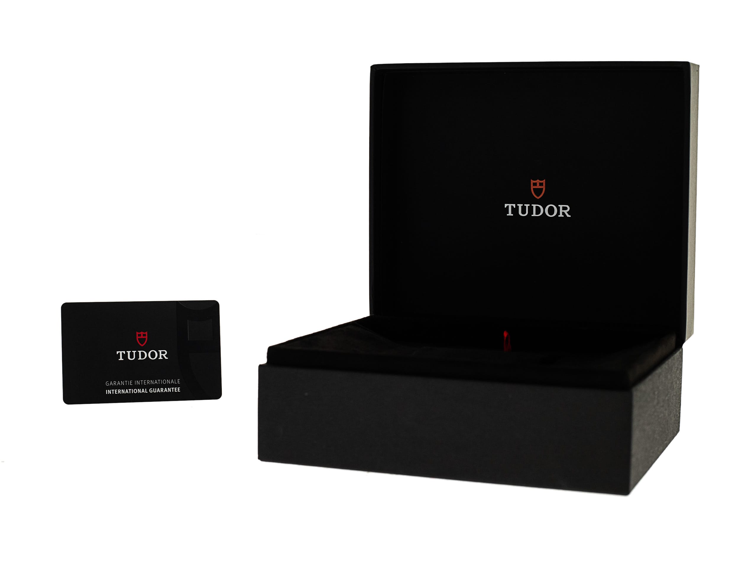 Tudor Pelagos M25707B/22-0001 Thumbnail 4