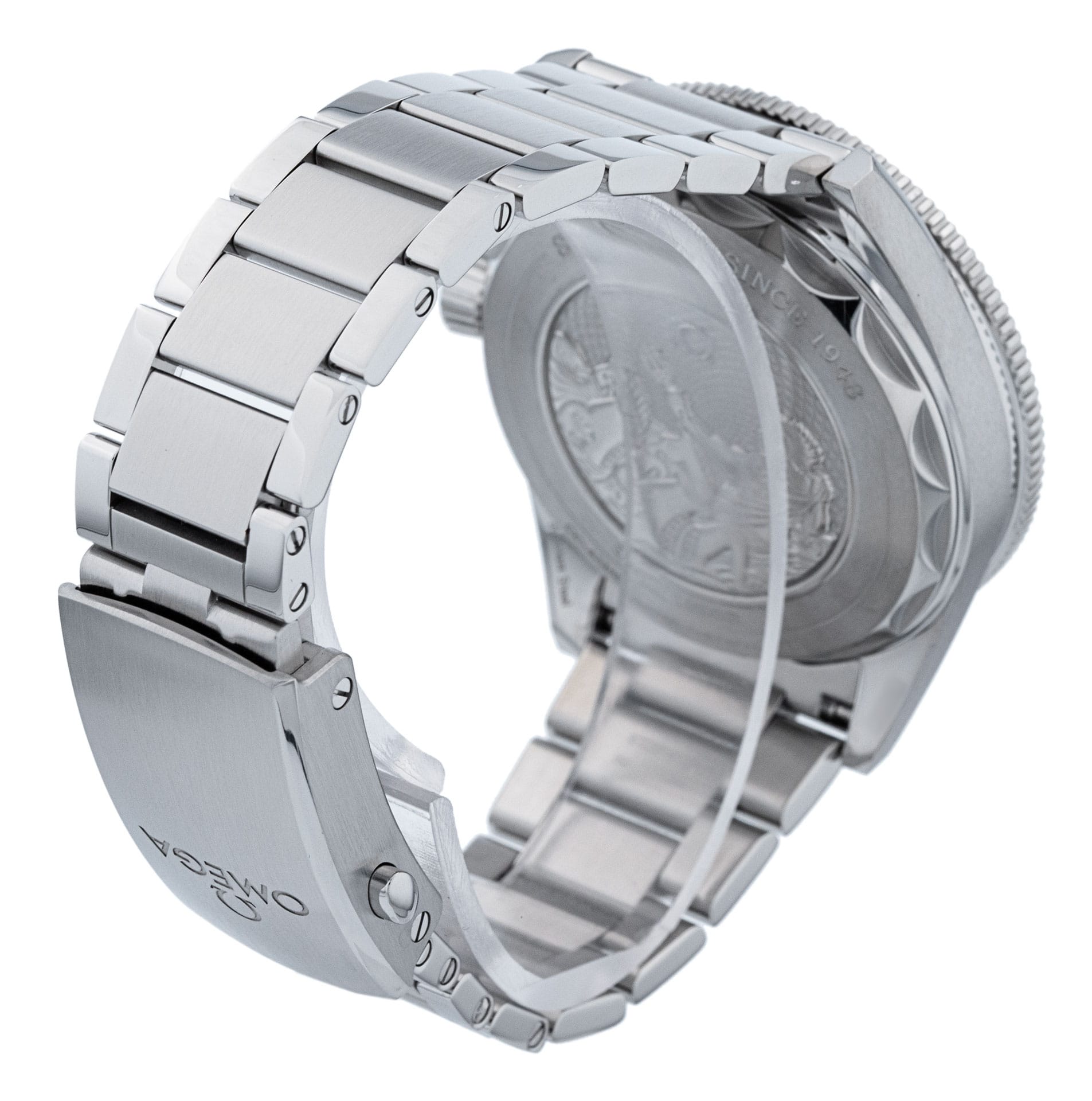 Omega Seamaster 300 234.30.41.21.03.002 Thumbnail 3