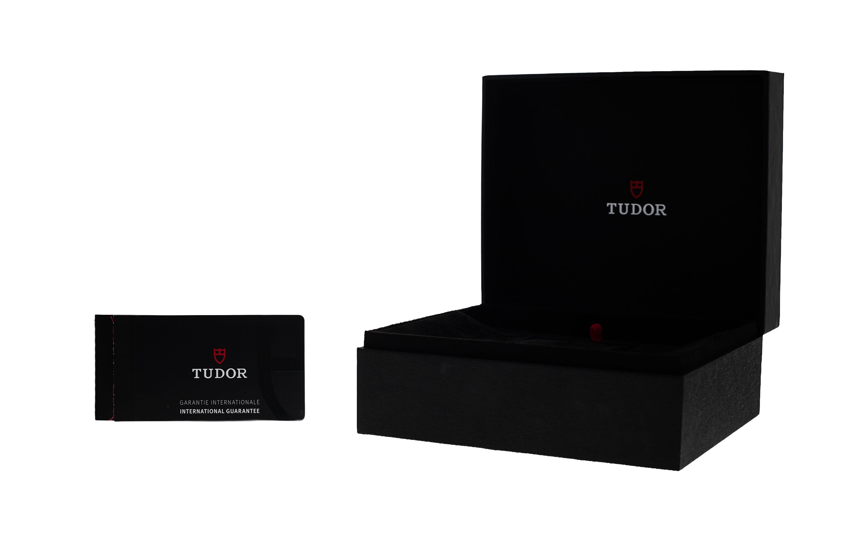 Tudor Pelagos FXD M25717N-0001 Thumbnail 4