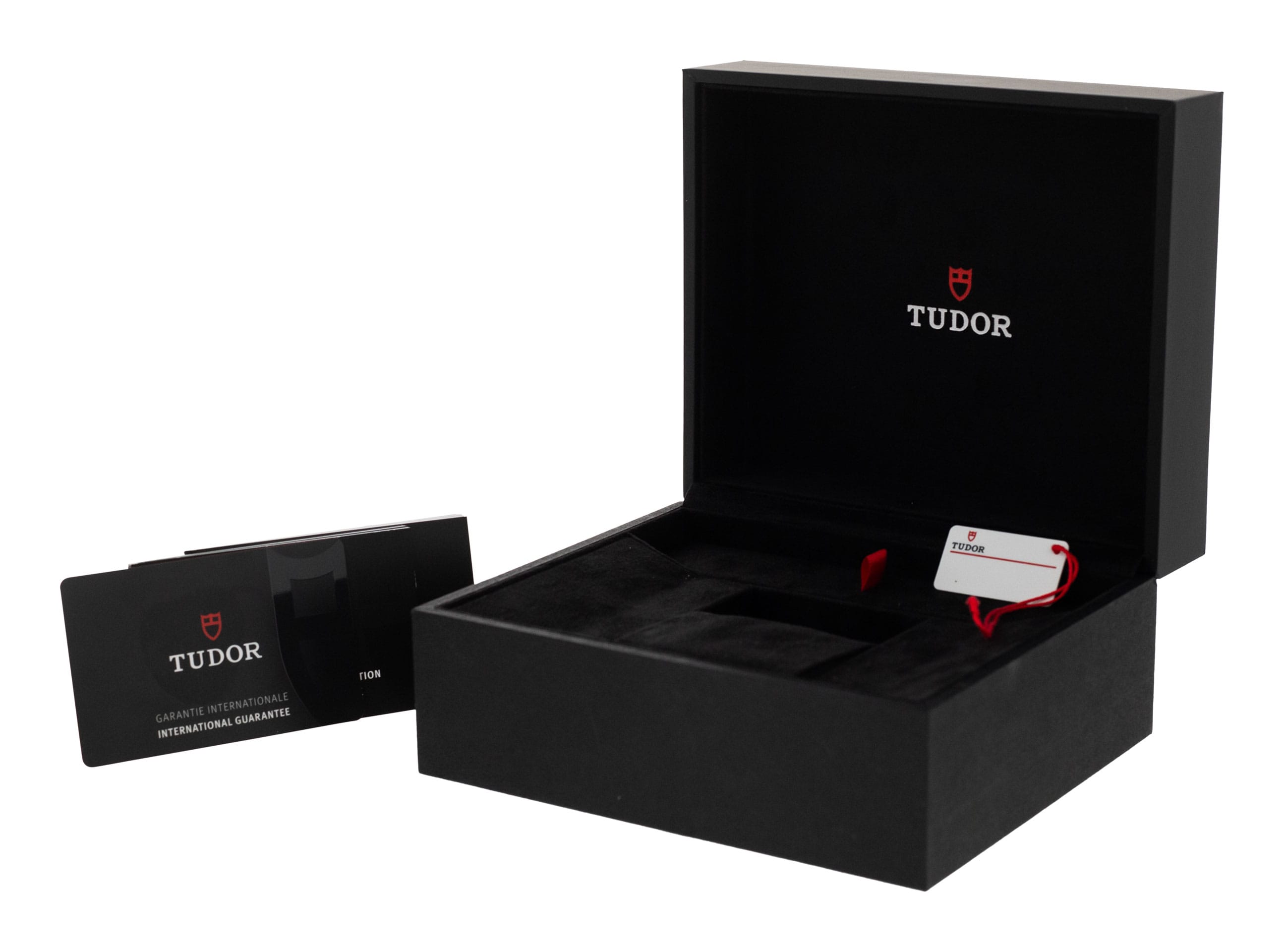 Tudor Pelagos M25707B/22-0001 Thumbnail 4