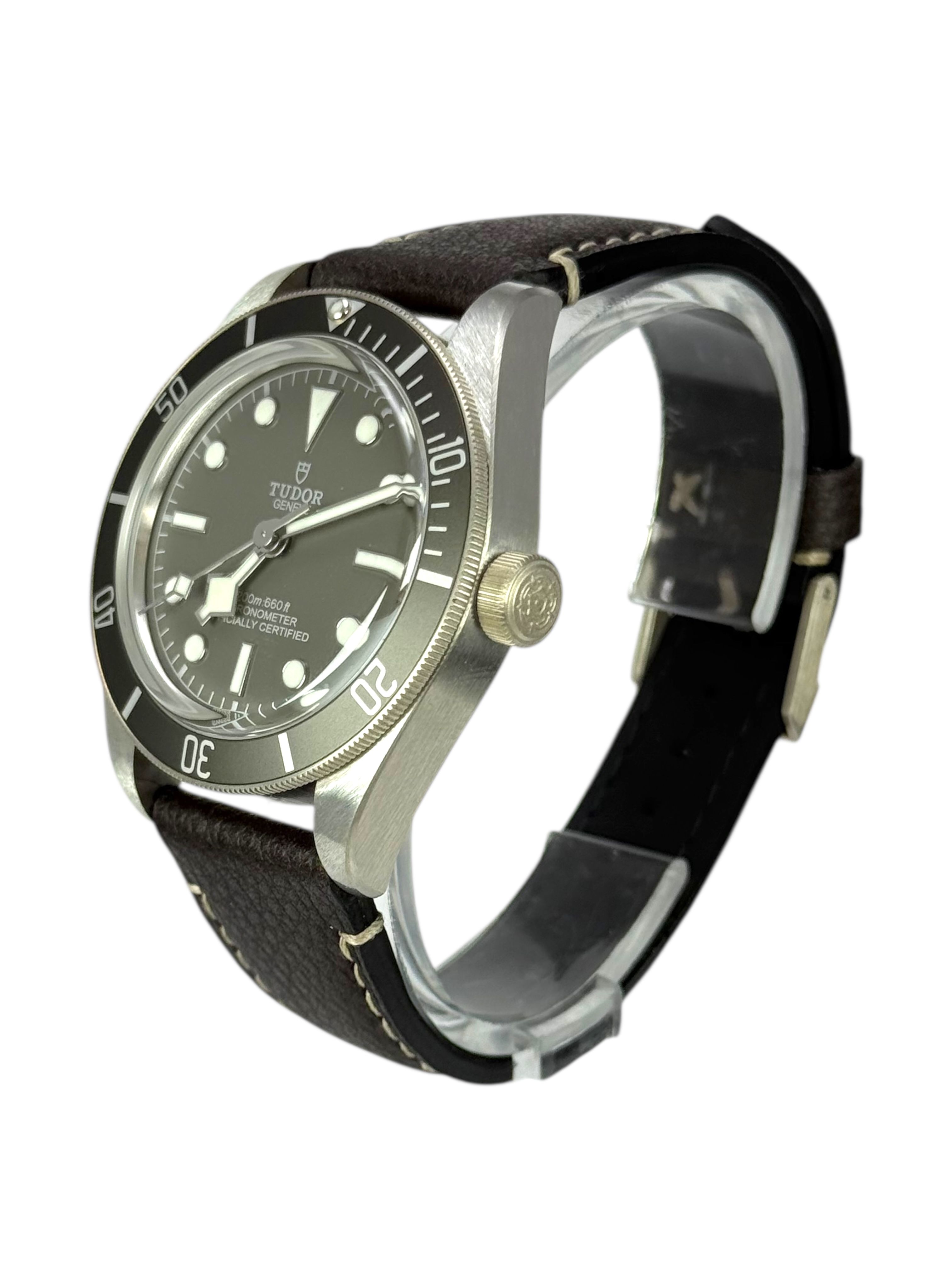Tudor Black Bay 58 M79010SG-0001 Thumbnail 2