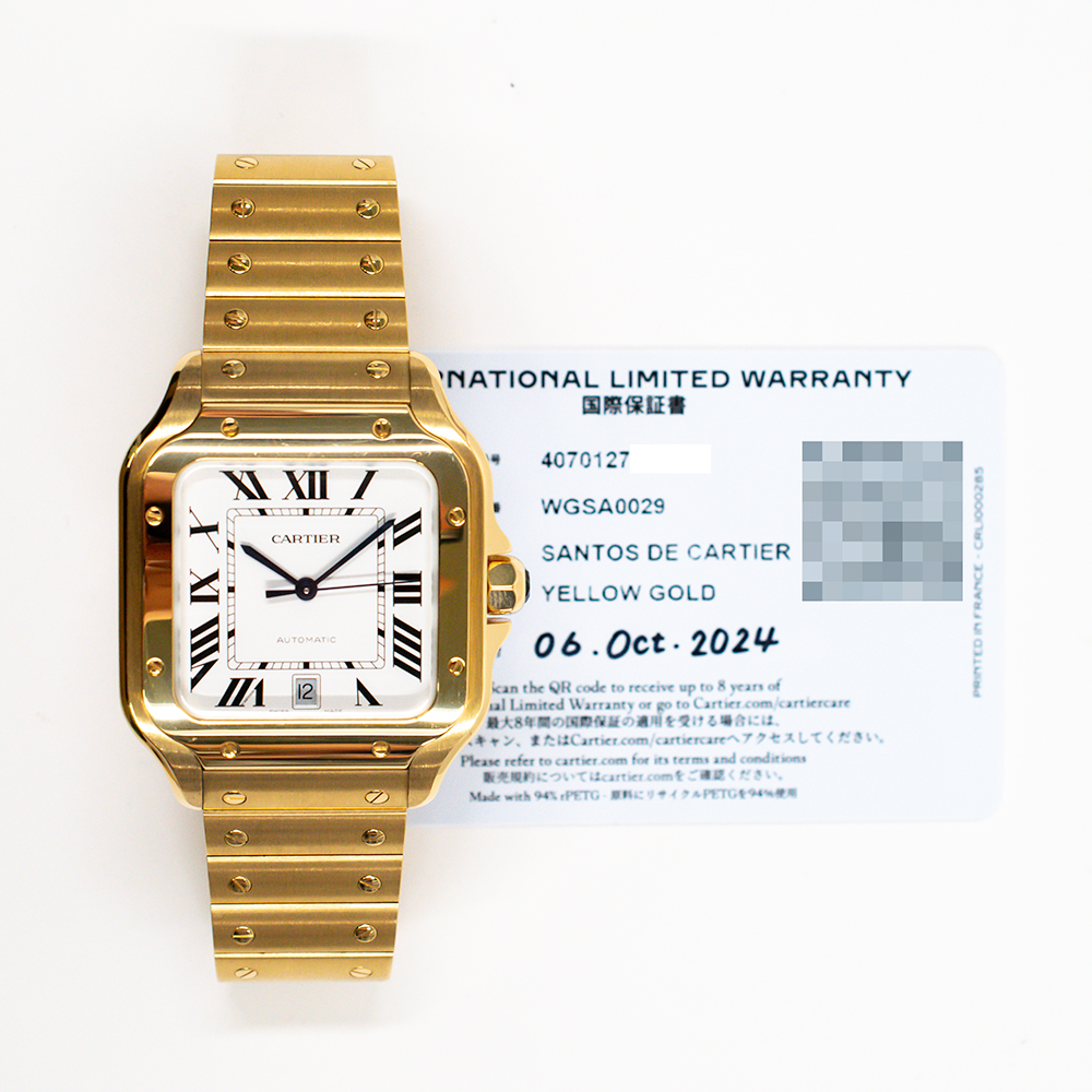 Cartier Santos De Cartier WGSA0029 Thumbnail 5