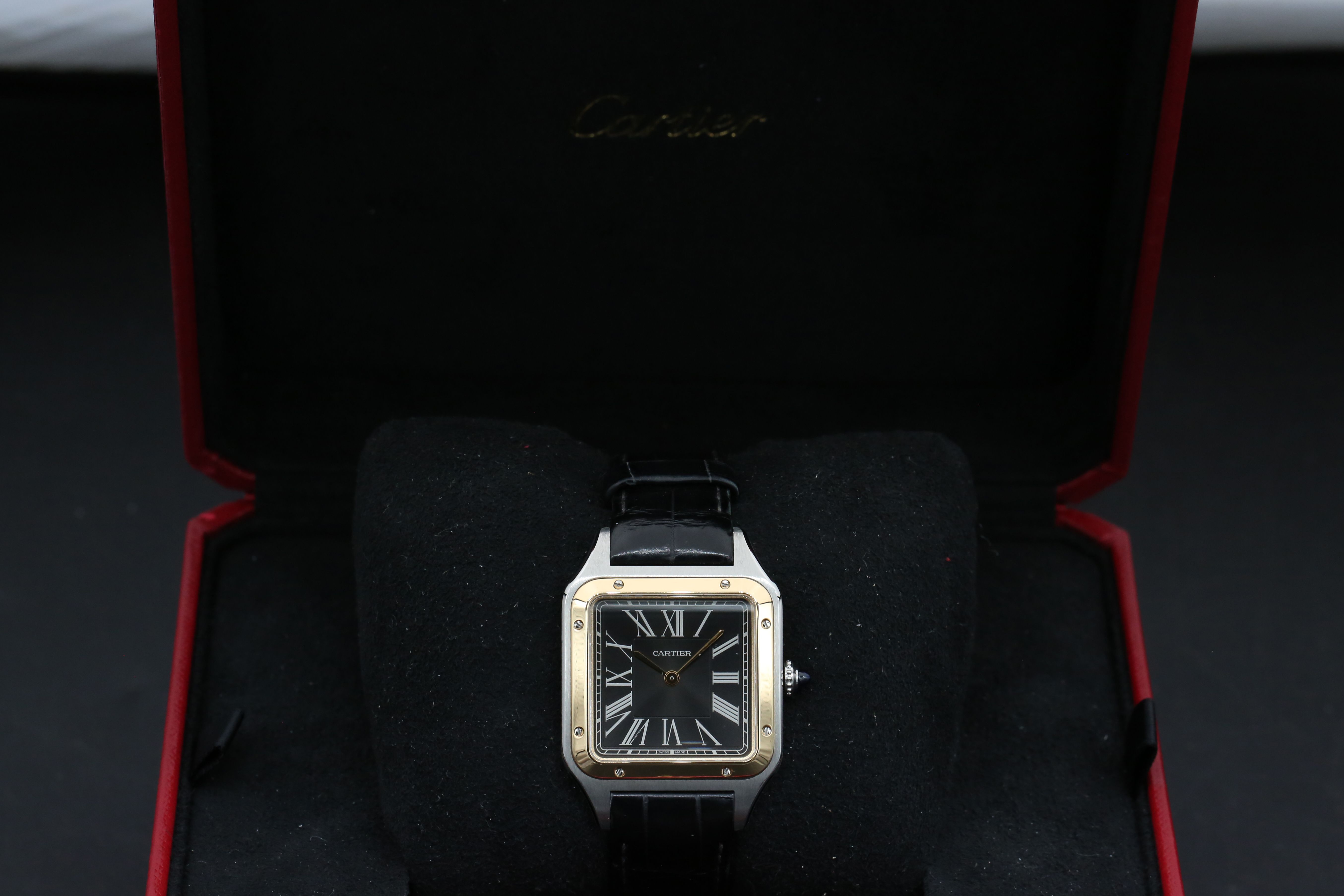 Cartier Santos Dumont W2SA0015 Thumbnail 4