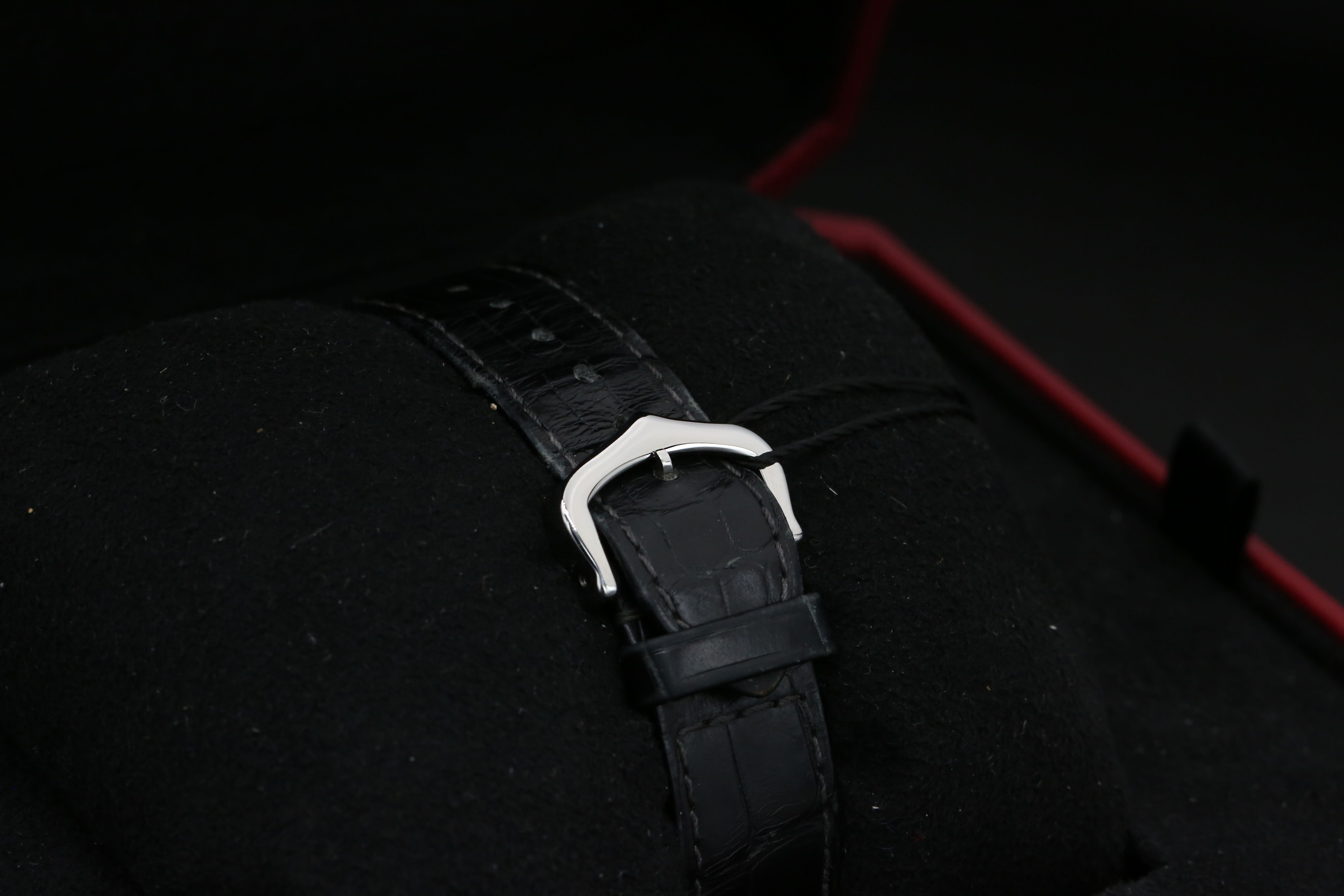 Cartier Santos Dumont W2SA0015 Thumbnail 3