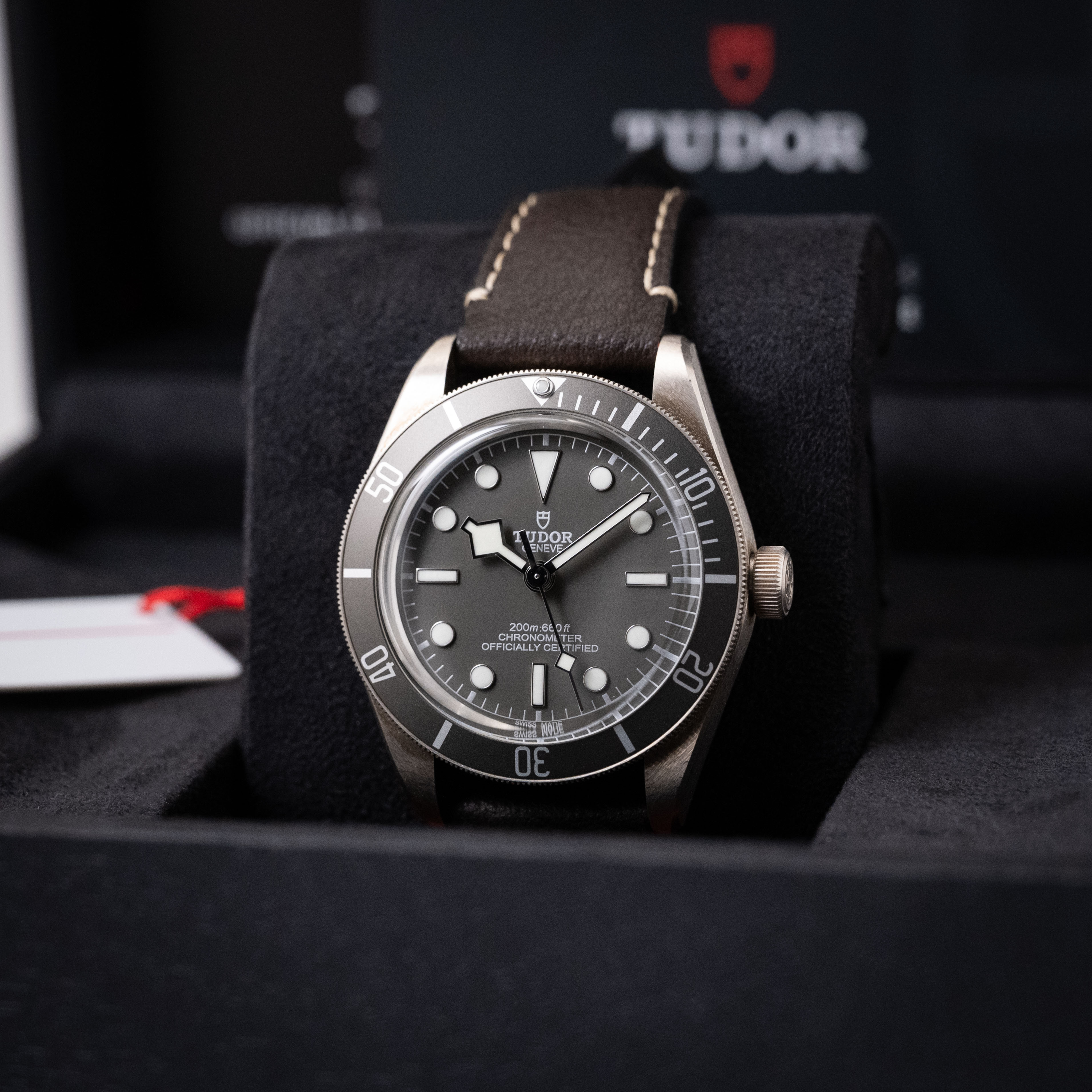 Tudor Black Bay 58 M79010SG-0001 Thumbnail 5