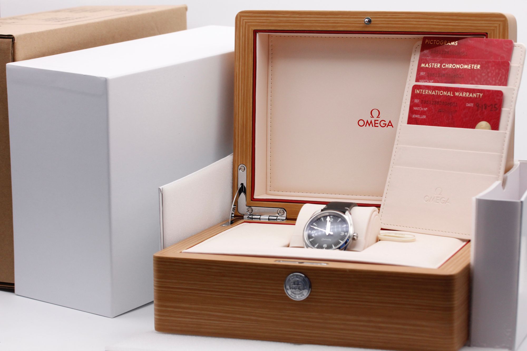 Omega Seamaster Railmaster 235.12.38.20.06.001 Thumbnail 5