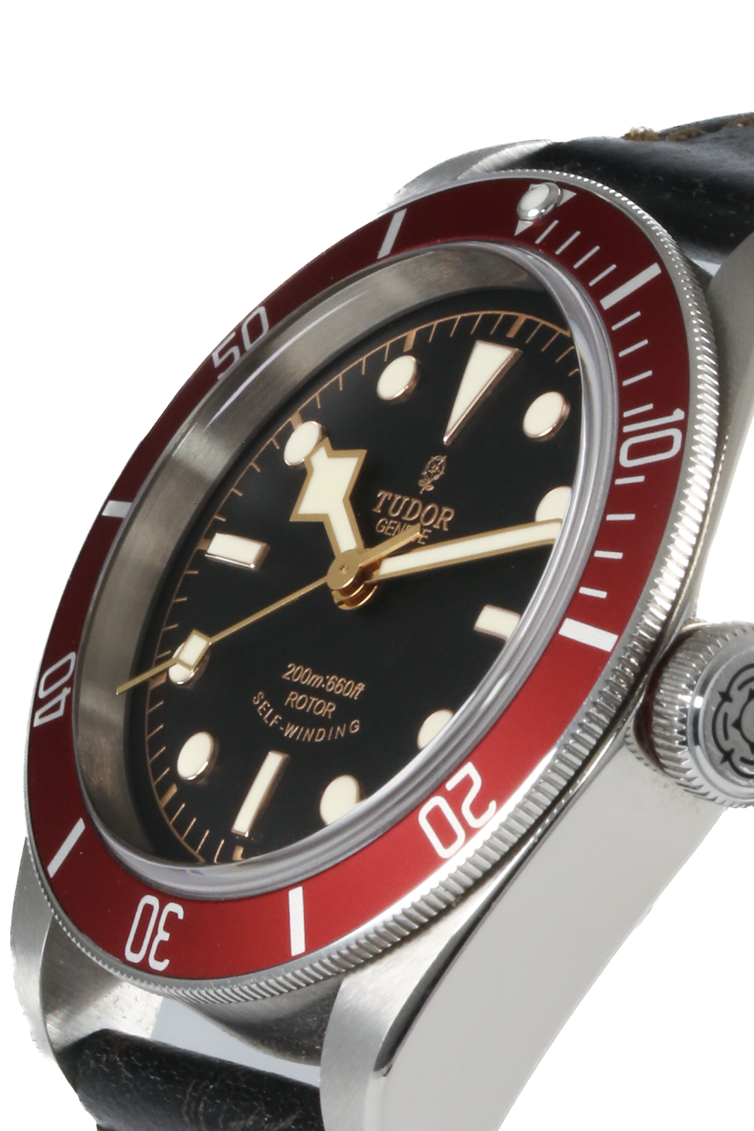 Tudor Heritage Black Bay 79220R Thumbnail 5