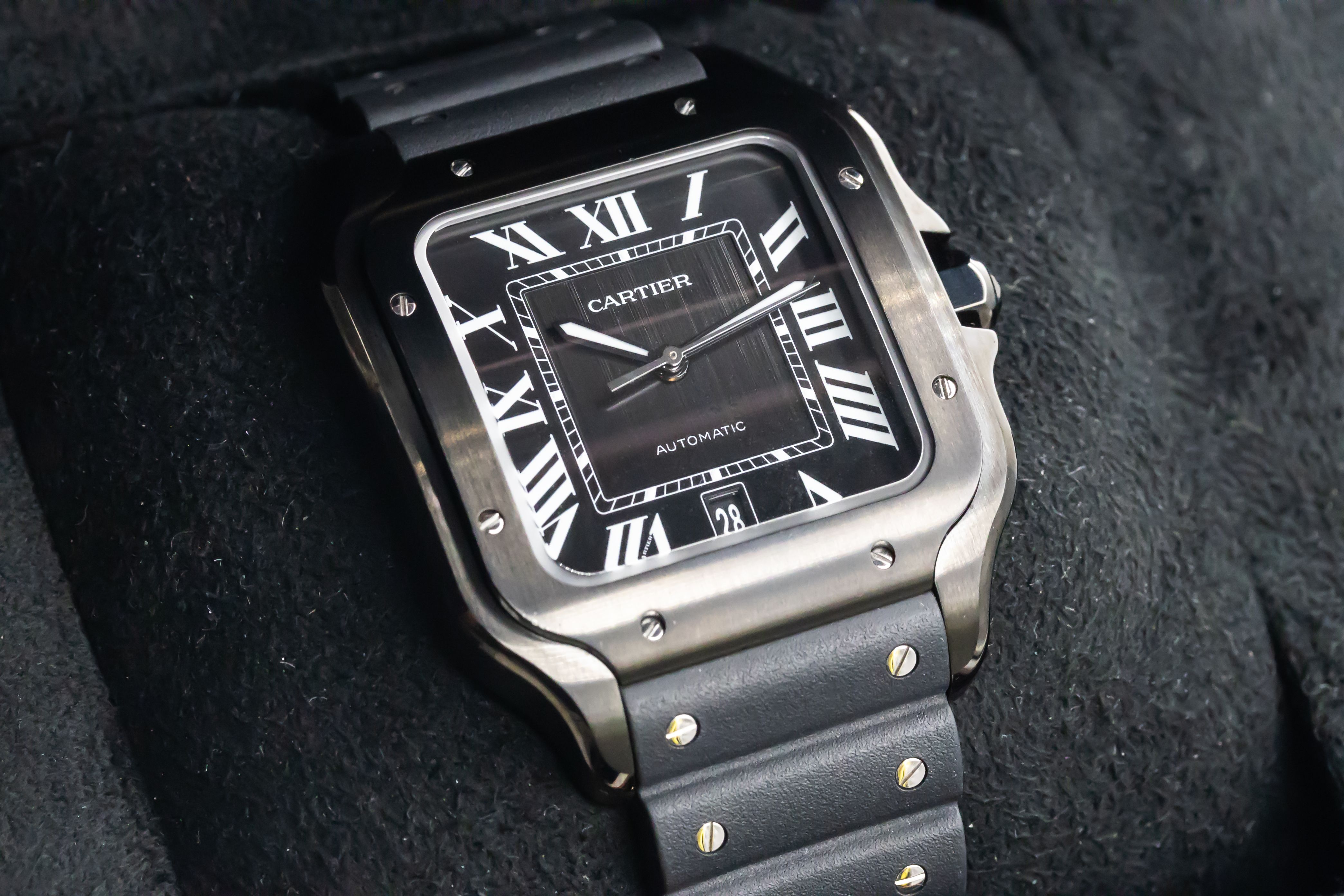 Cartier Santos WSSA0039 Thumbnail 5