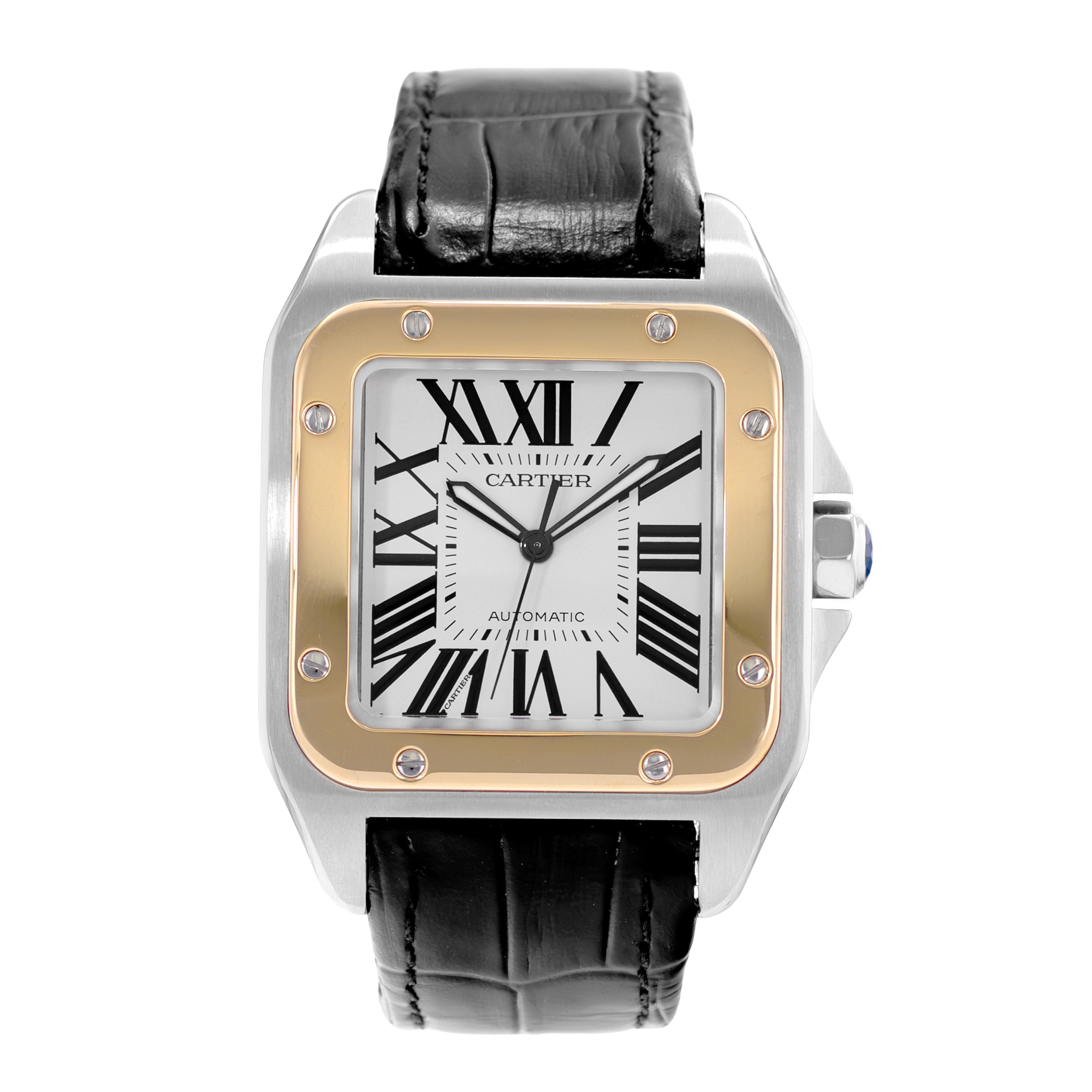 Cartier Santos 100 W20072X7 Thumbnail 2