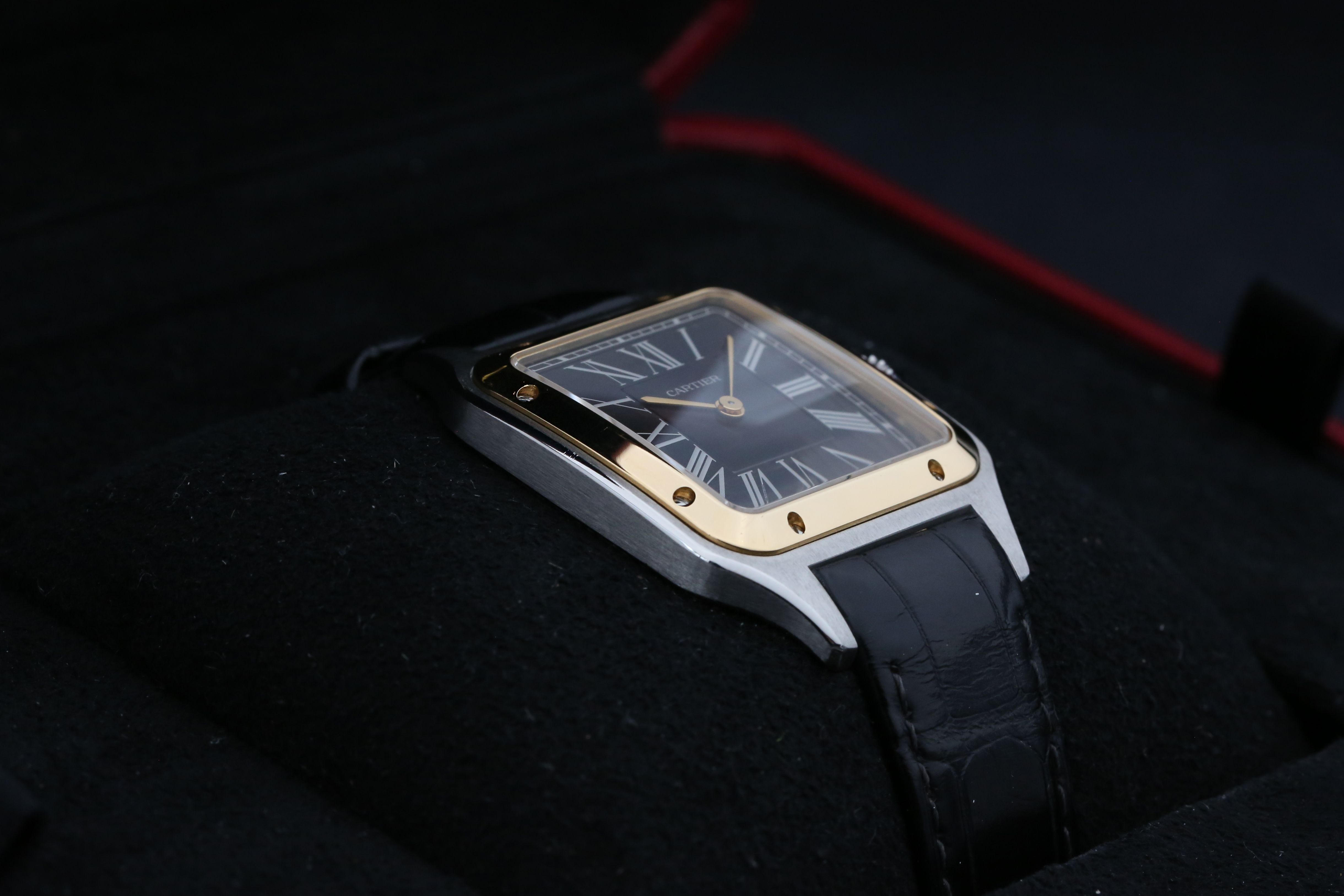 Cartier Santos Dumont W2SA0015 Thumbnail 5