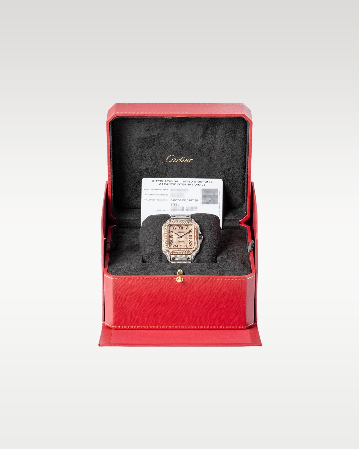 Cartier Santos De Cartier WSSA0018 Thumbnail 5