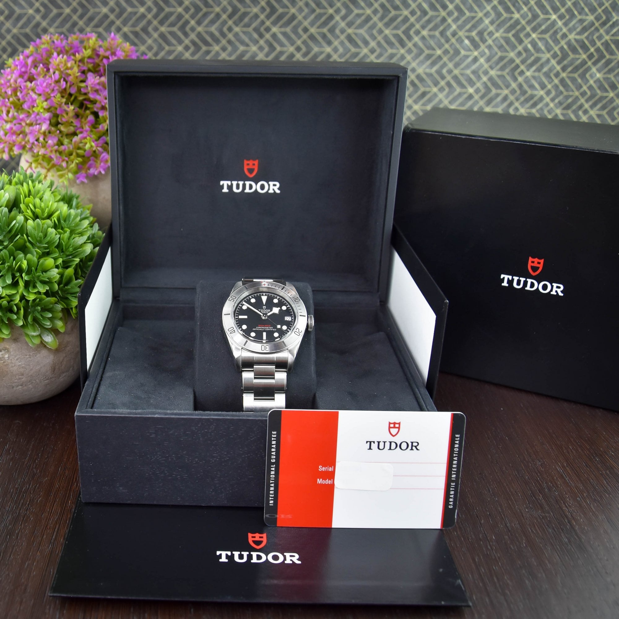 Tudor Black Bay M79730-0006 Thumbnail 6