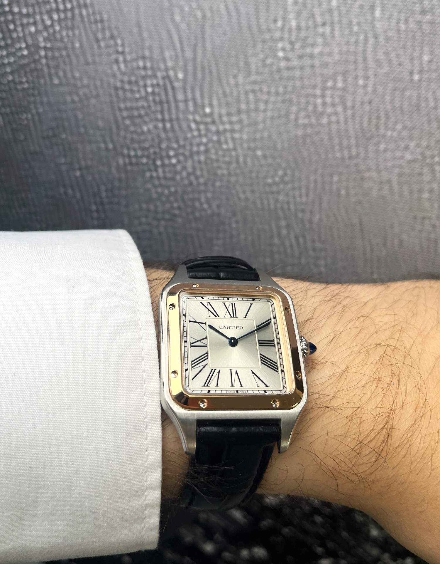 Cartier Santos Dumont W2SA0011 Thumbnail 4