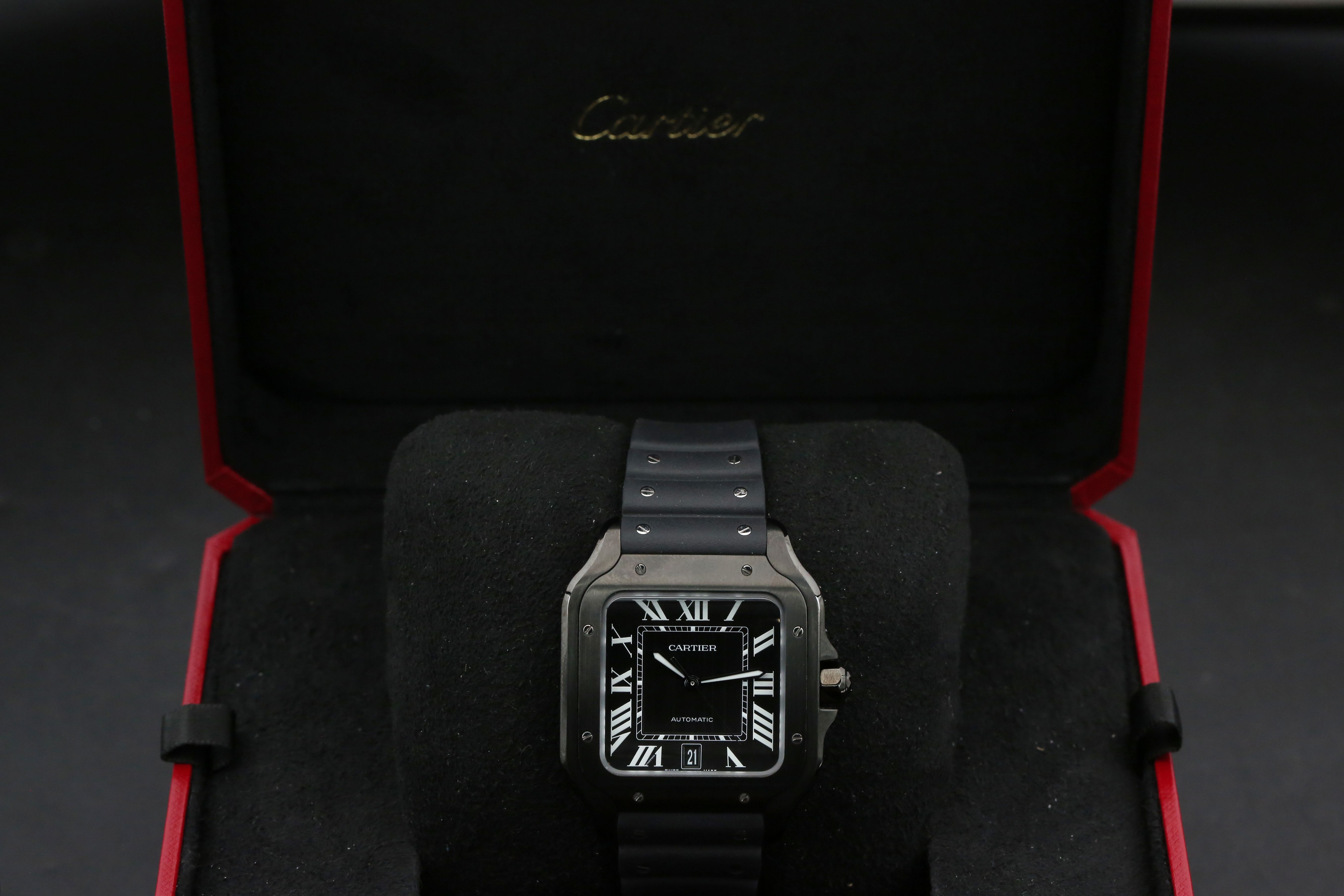 Cartier Santos WSSA0039 Thumbnail 4