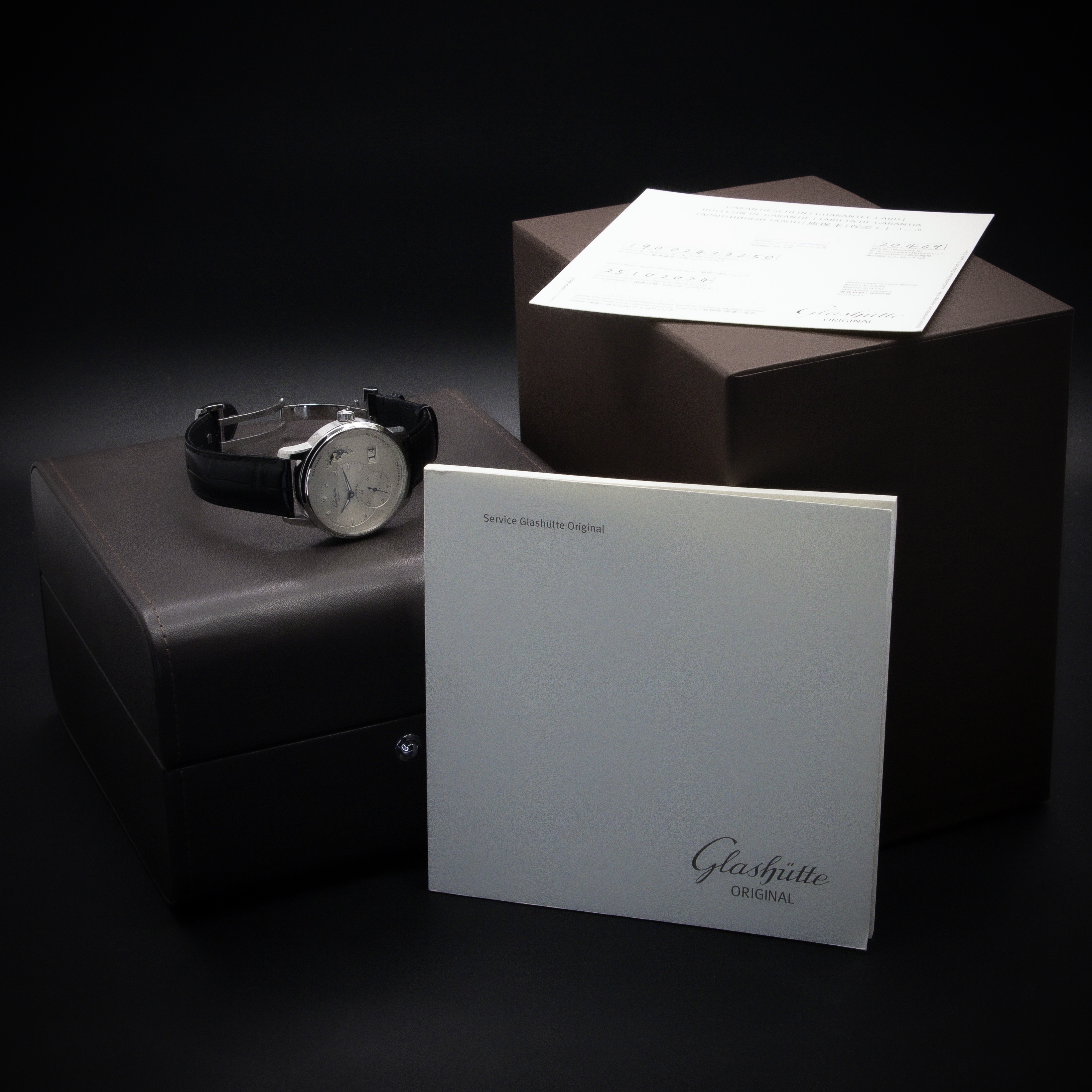 Glashutte Original PanoMaticLunar 1-90-02-42-32-05 Thumbnail 6