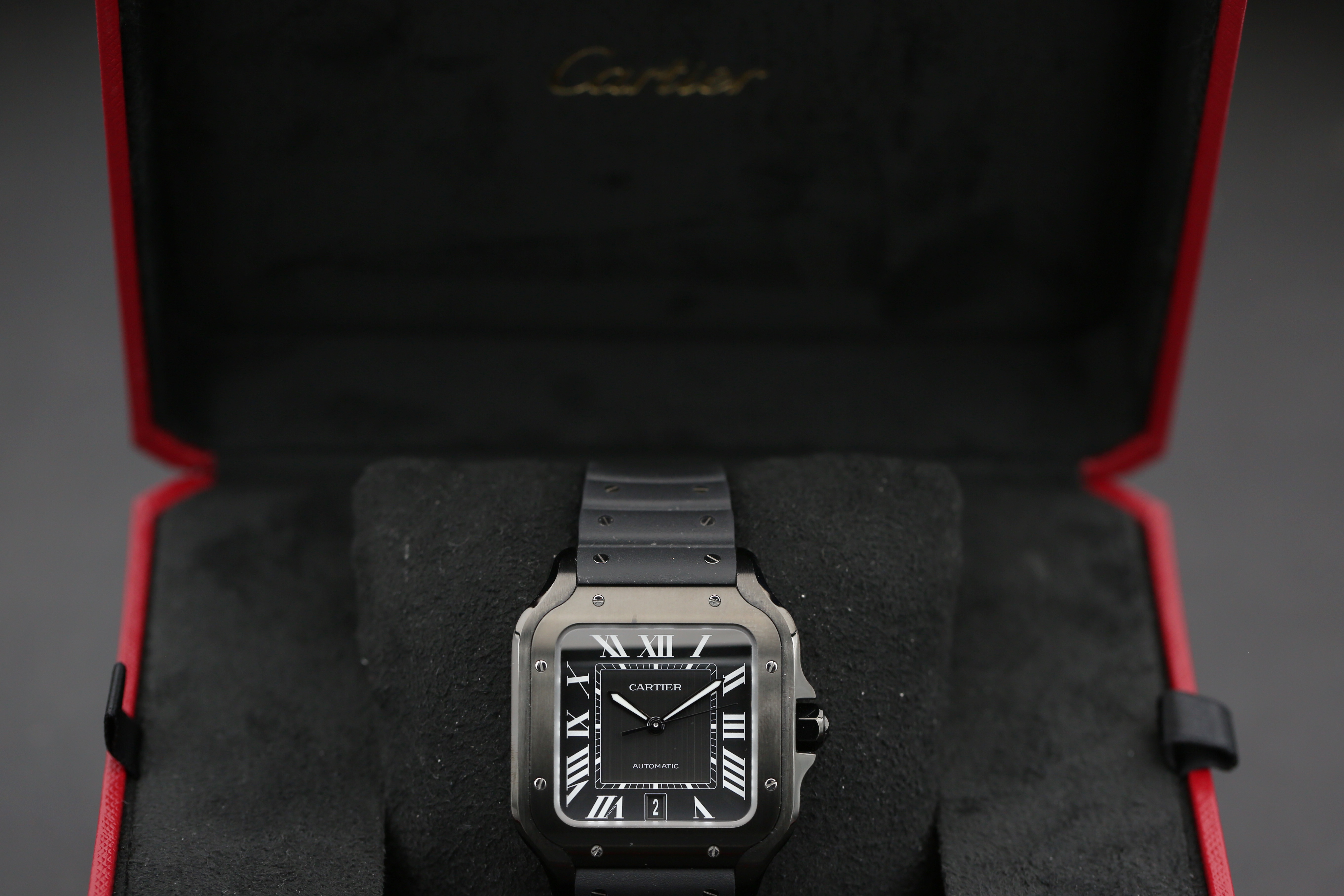 Cartier Santos WSSA0039 Thumbnail 4