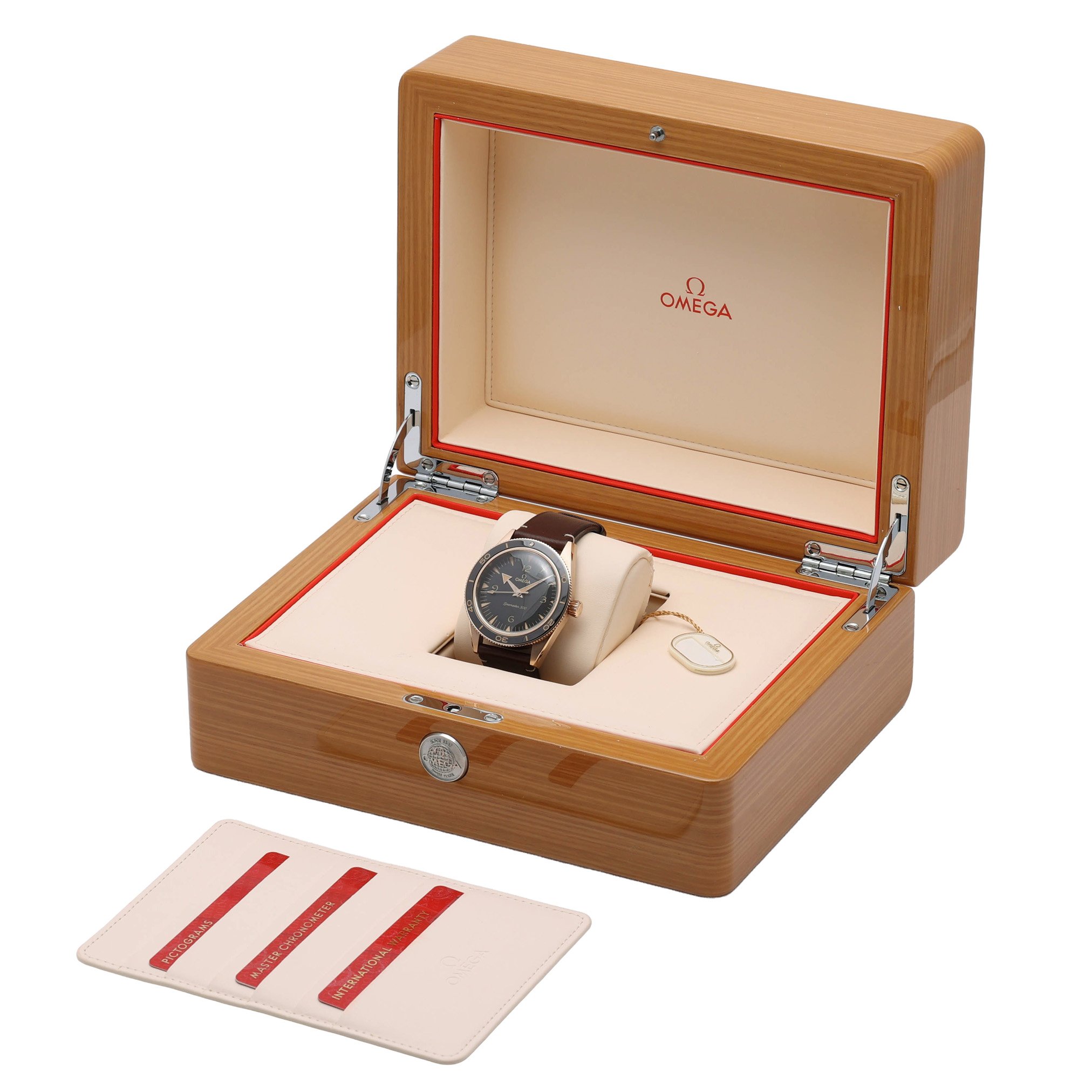 Omega Seamaster 300 234.92.41.21.10.001 Thumbnail 6