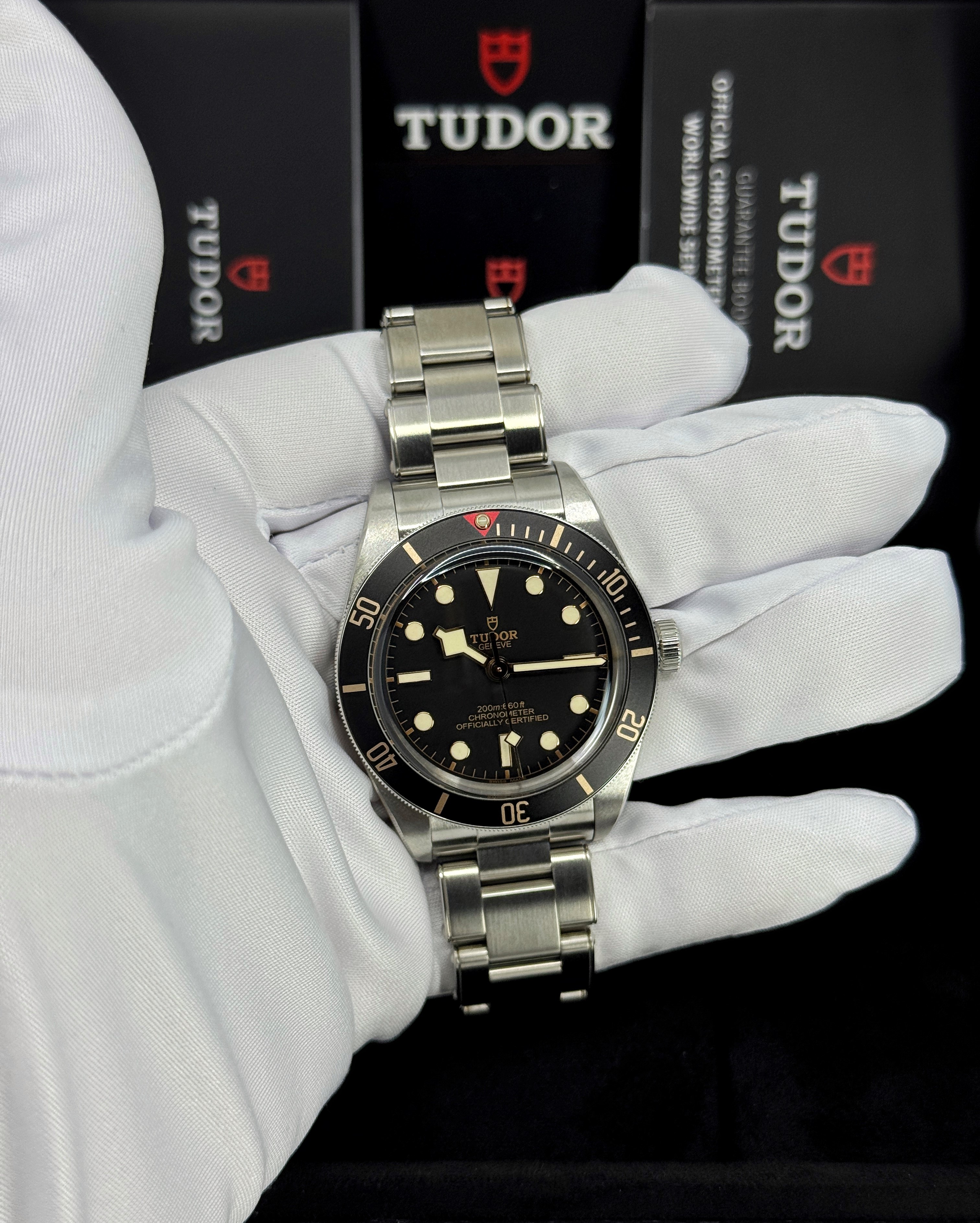 Tudor Black Bay 58 M79030N-0001 Thumbnail 6