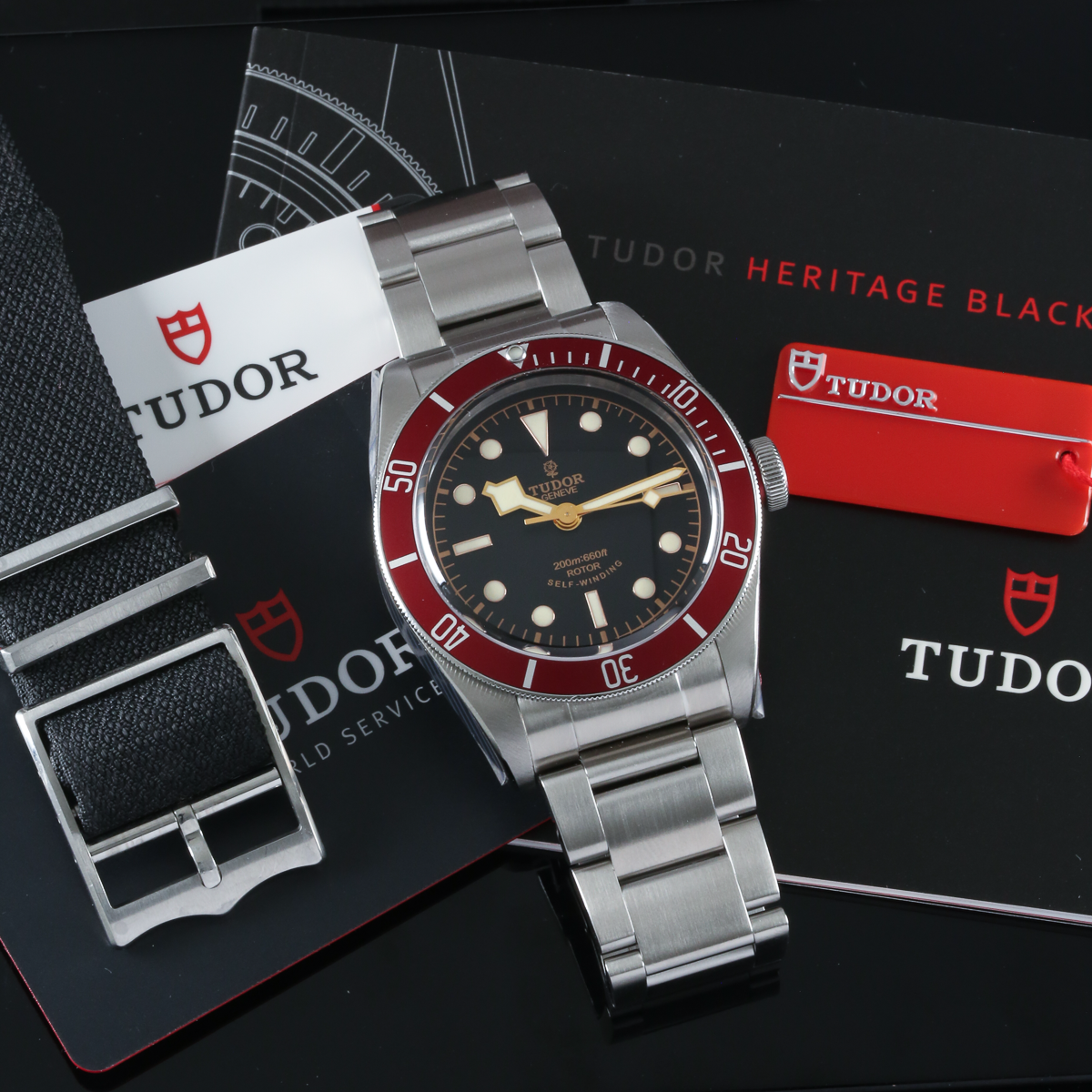 Tudor Heritage Black Bay 79220R Thumbnail 6