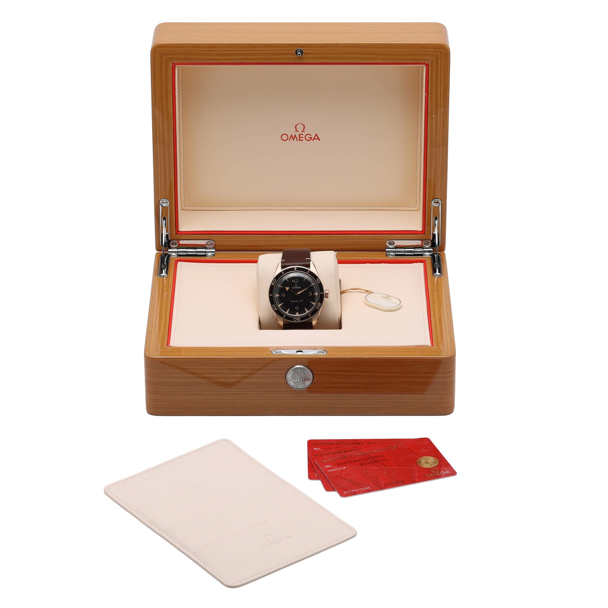 Omega Seamaster 300 234.92.41.21.10.001 Thumbnail 7