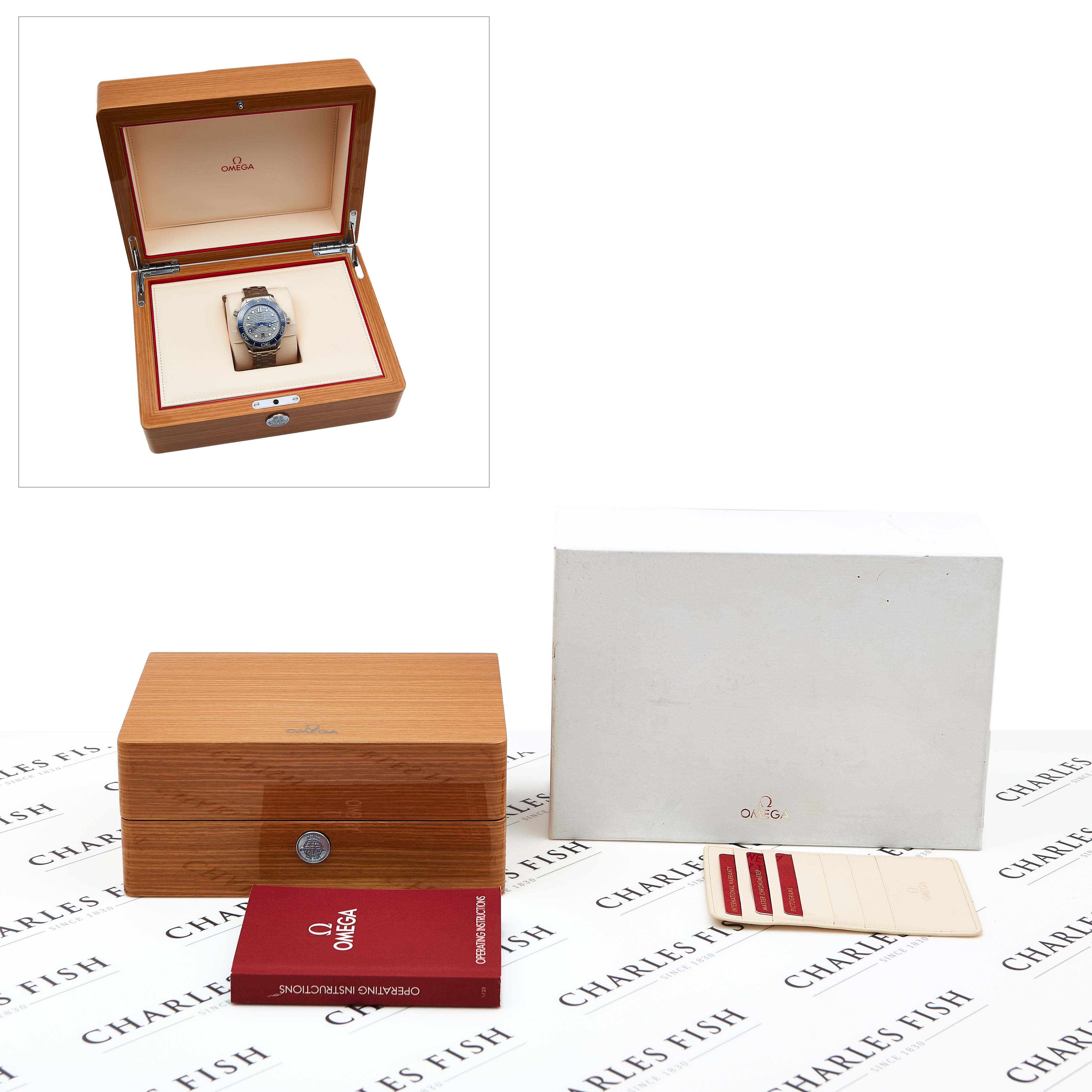 Omega Seamaster Diver 300m 210.30.42.20.06.001 Thumbnail 5