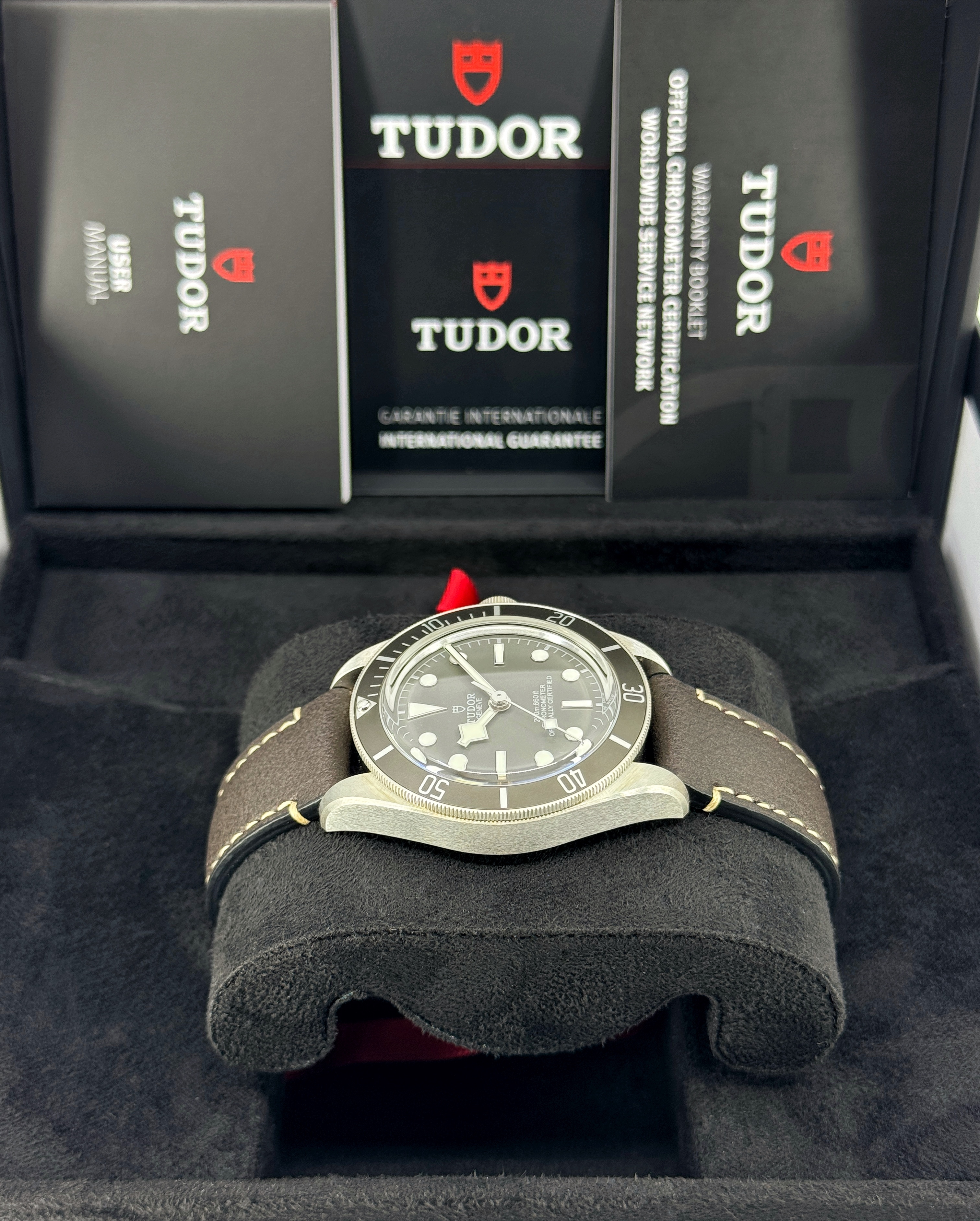 Tudor Black Bay 58 M79010SG-0001 Thumbnail 2