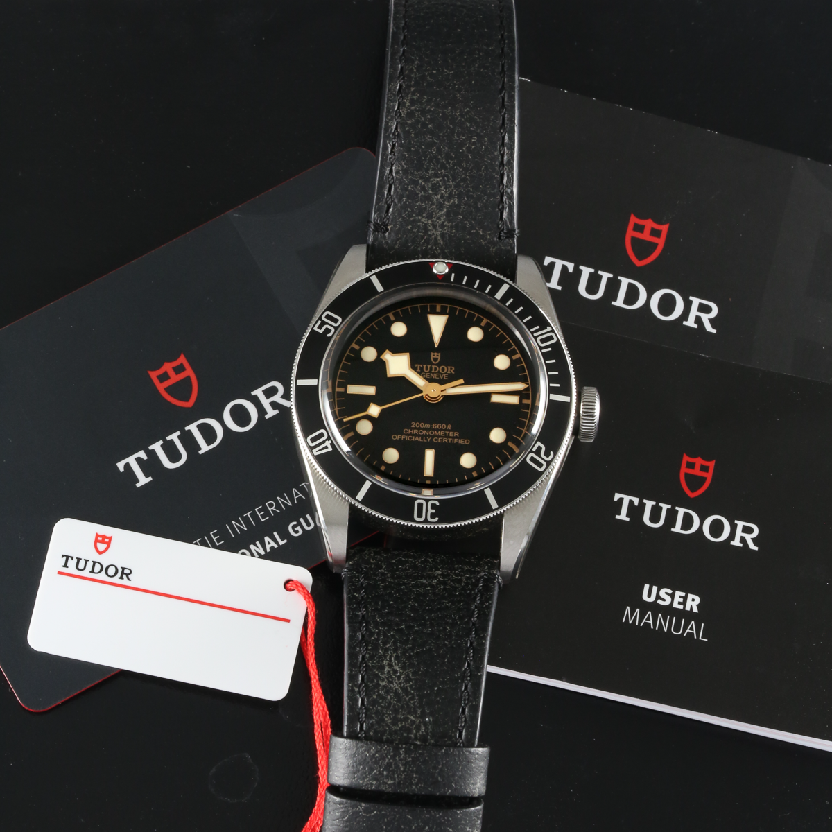 Tudor Black Bay M79230N-0008 Thumbnail 6